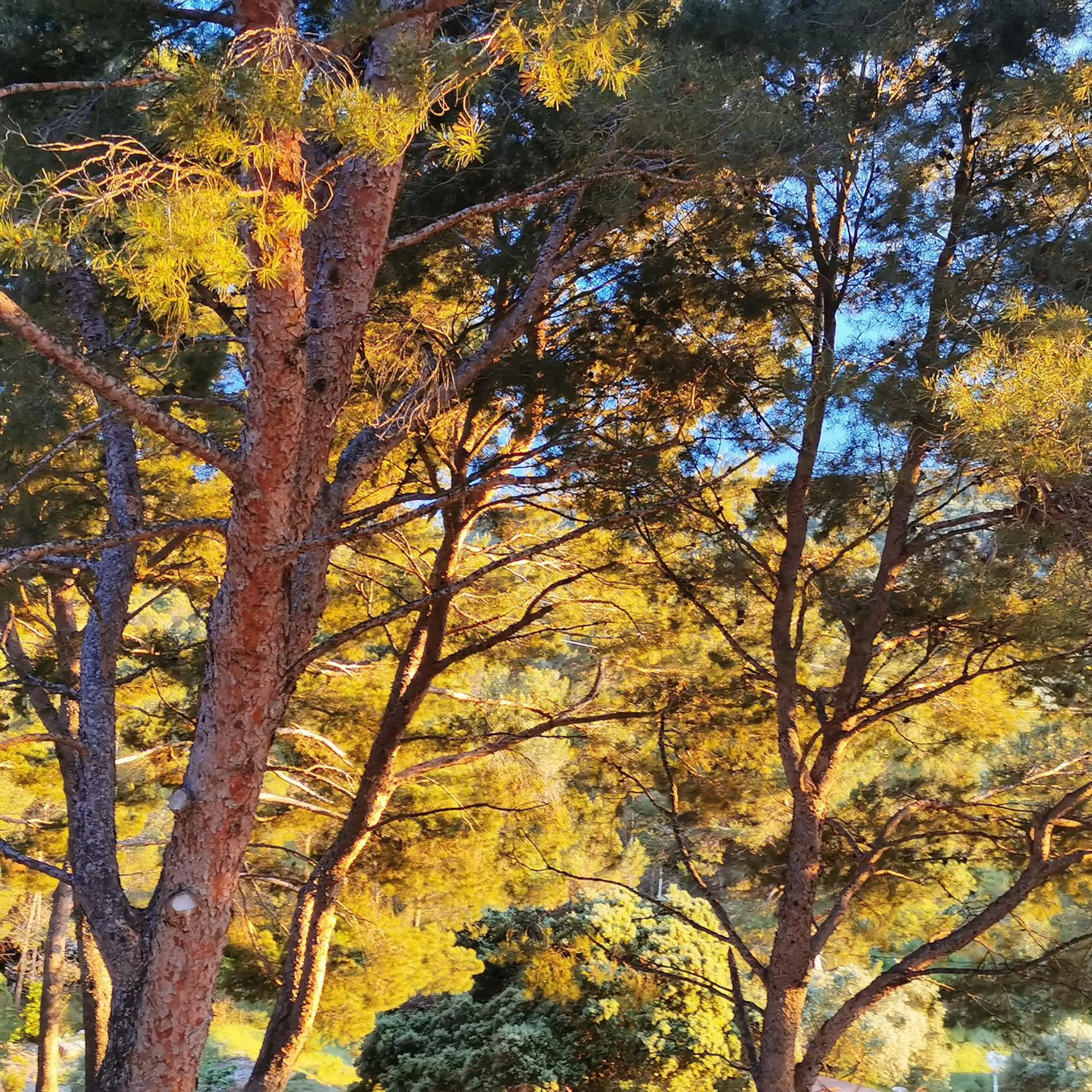 Nearby landmark in Le Mas des Roches à Velaux