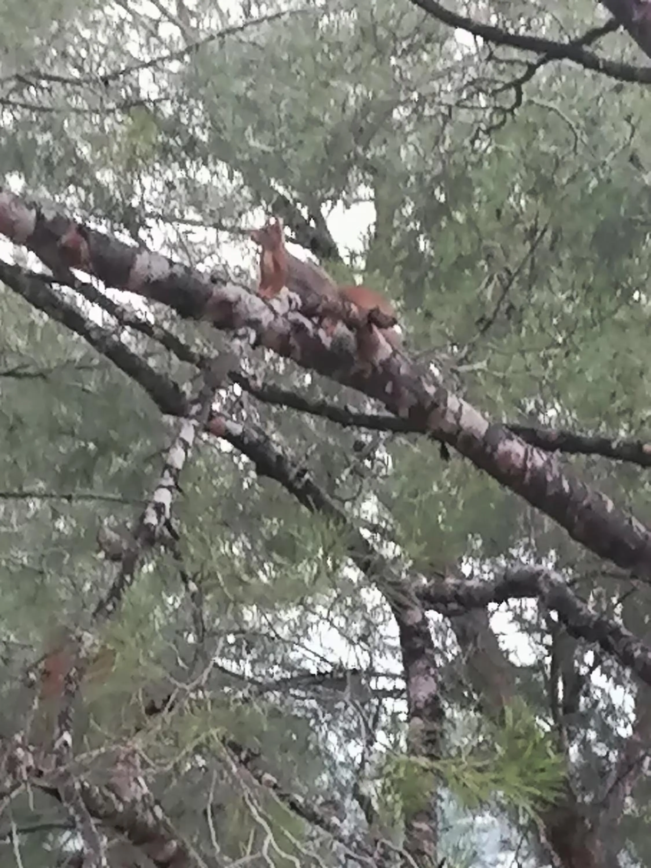 Natural landscape in Le Mas des Roches à Velaux