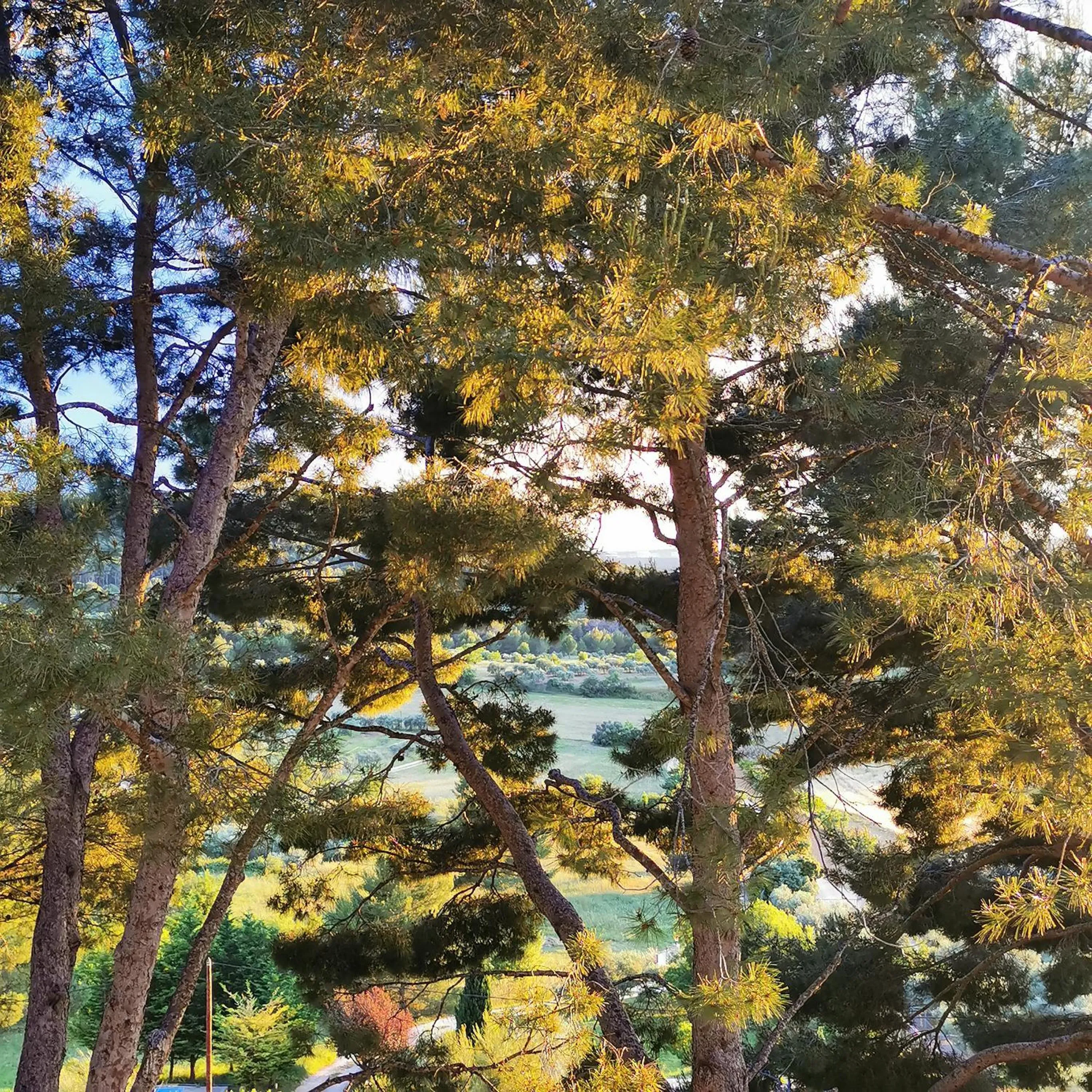Garden view in Le Mas des Roches à Velaux