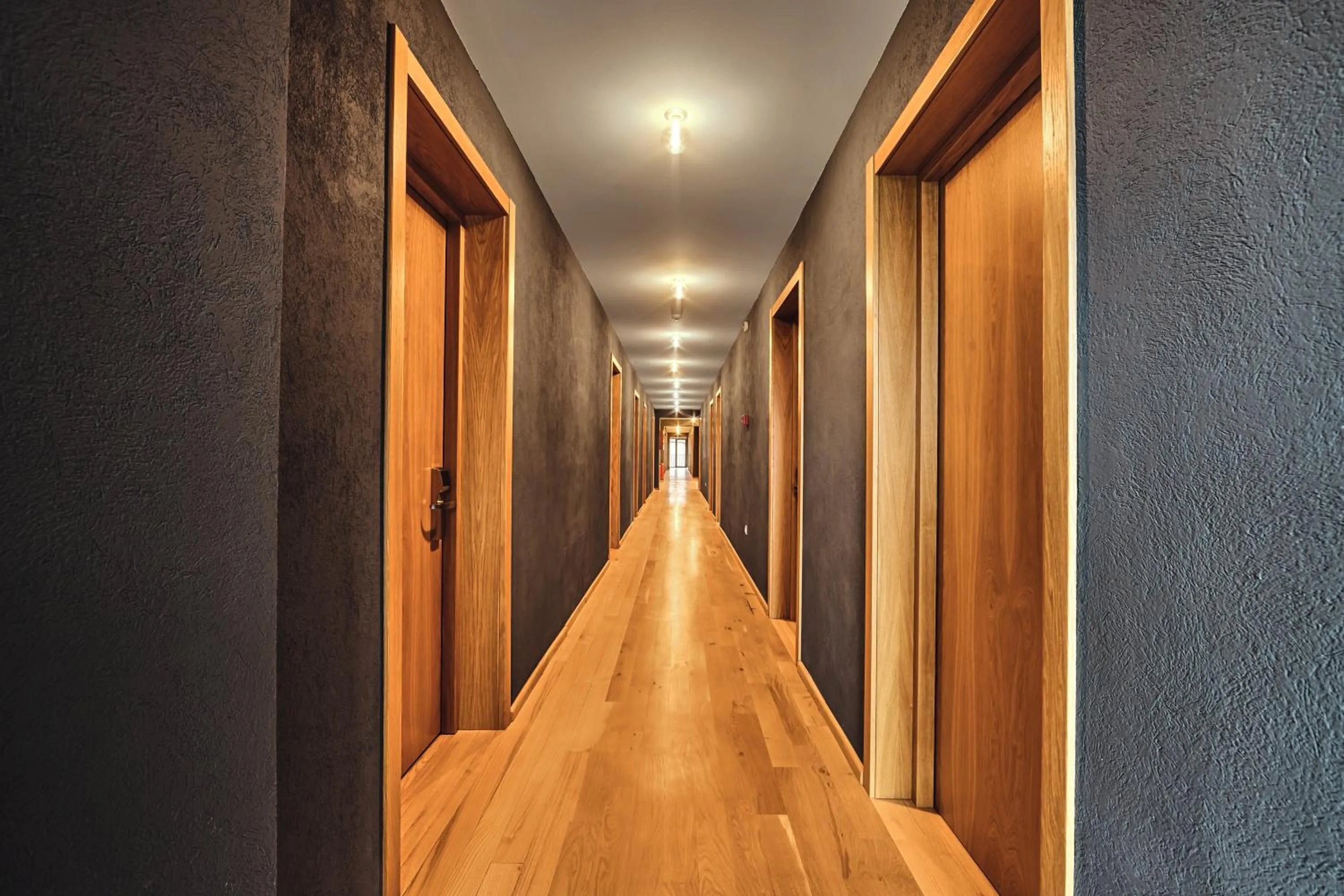 Area and facilities in Intourist Kazbegi