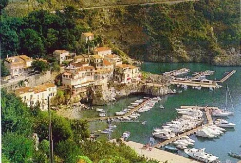 Area and facilities in Hotel Club San Diego