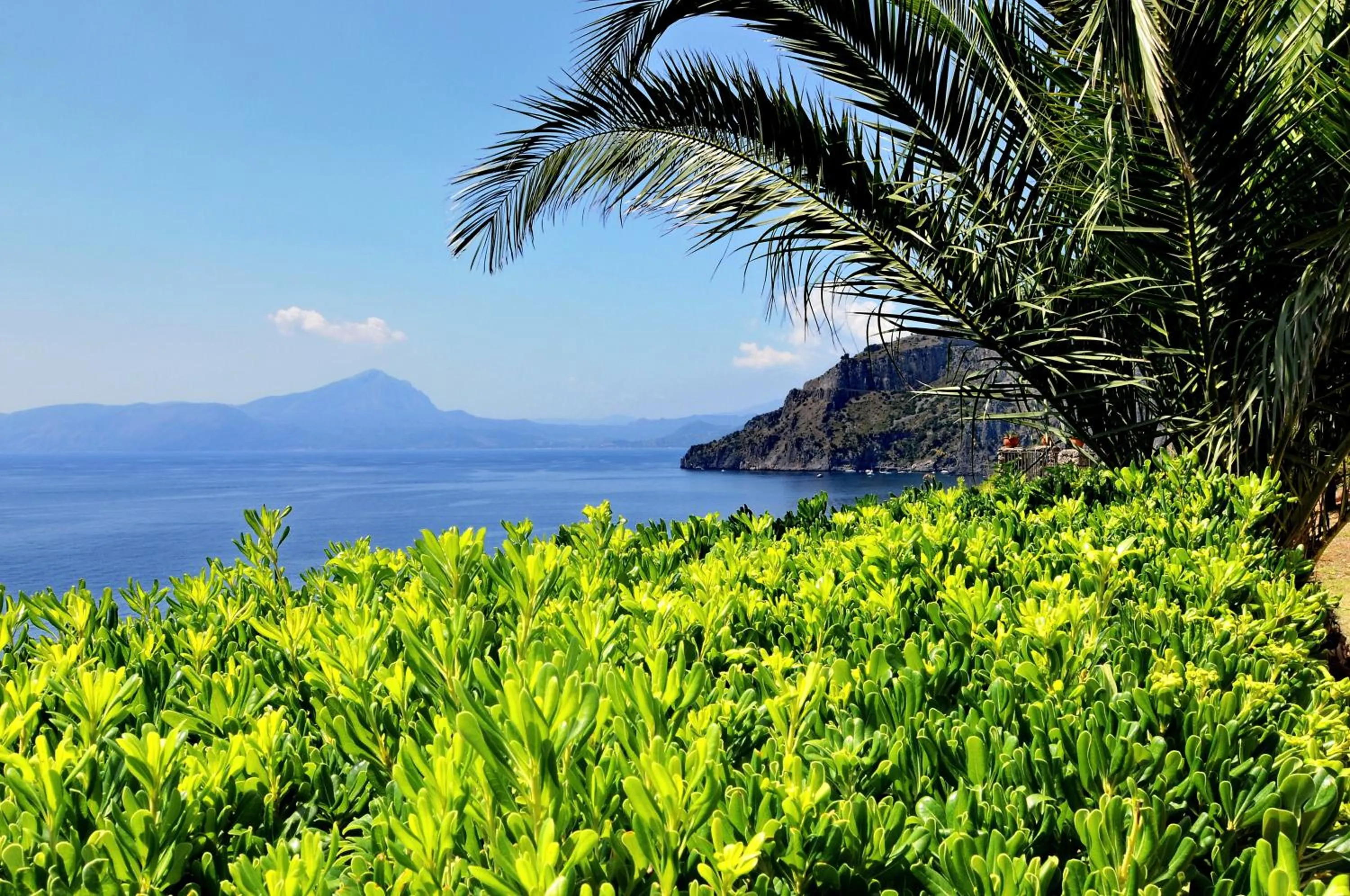 Area and facilities in Hotel Club San Diego