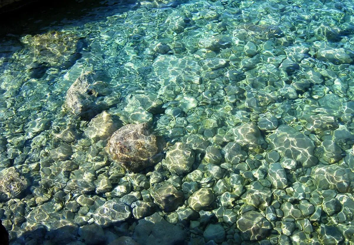 Natural landscape in Hotel Club San Diego