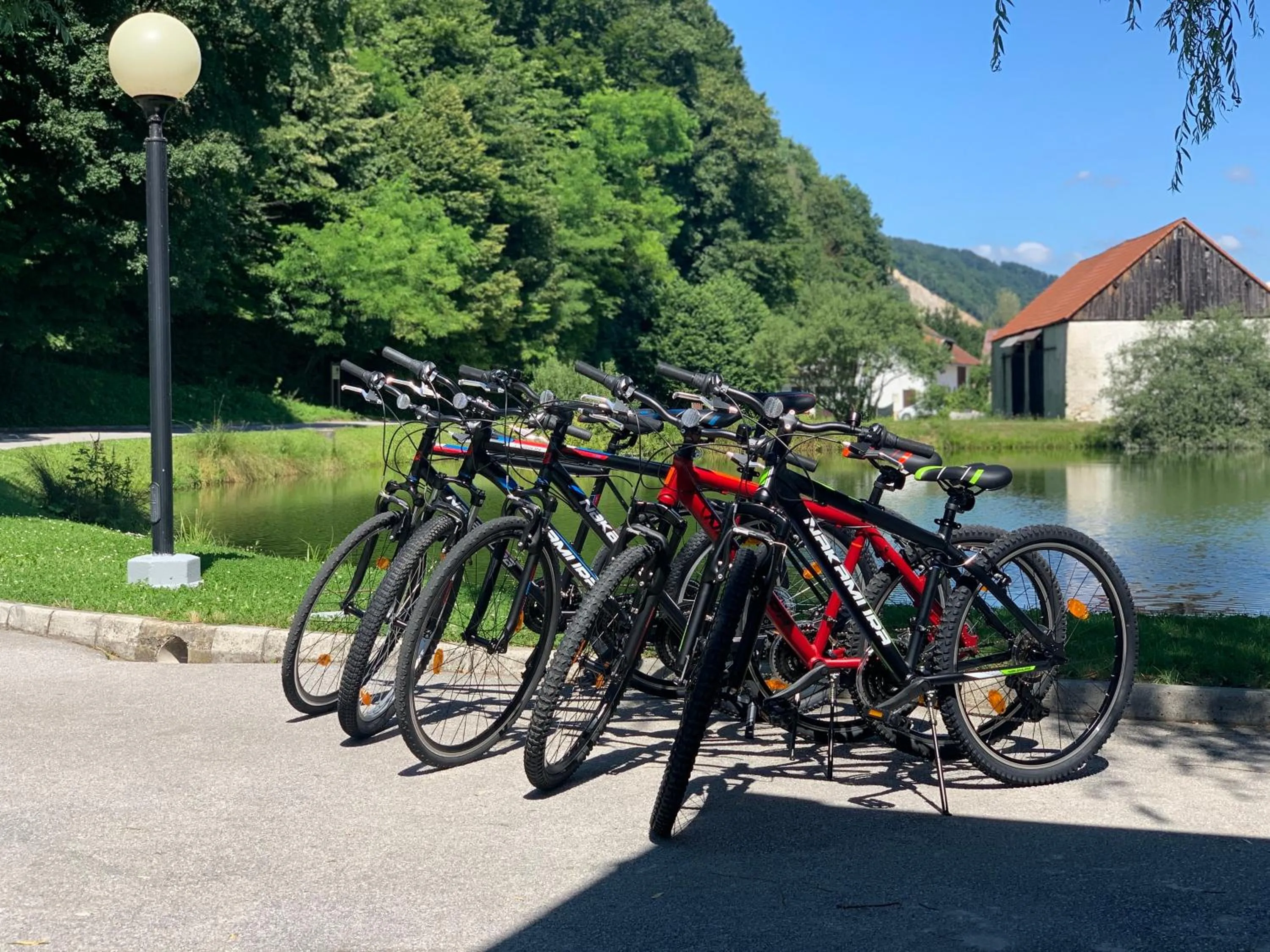 Activities in Kozjanski dvor