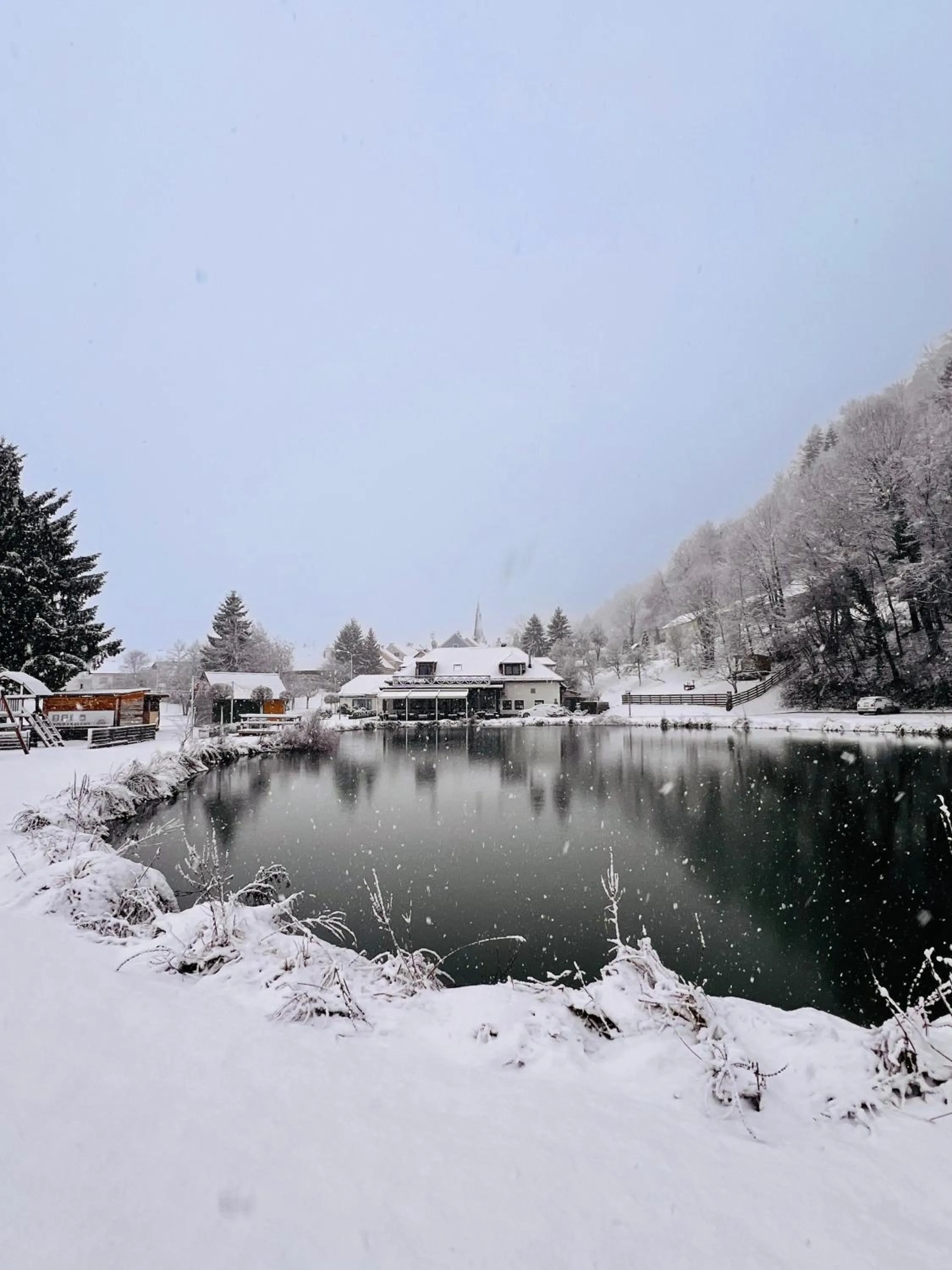 Property building in Kozjanski dvor