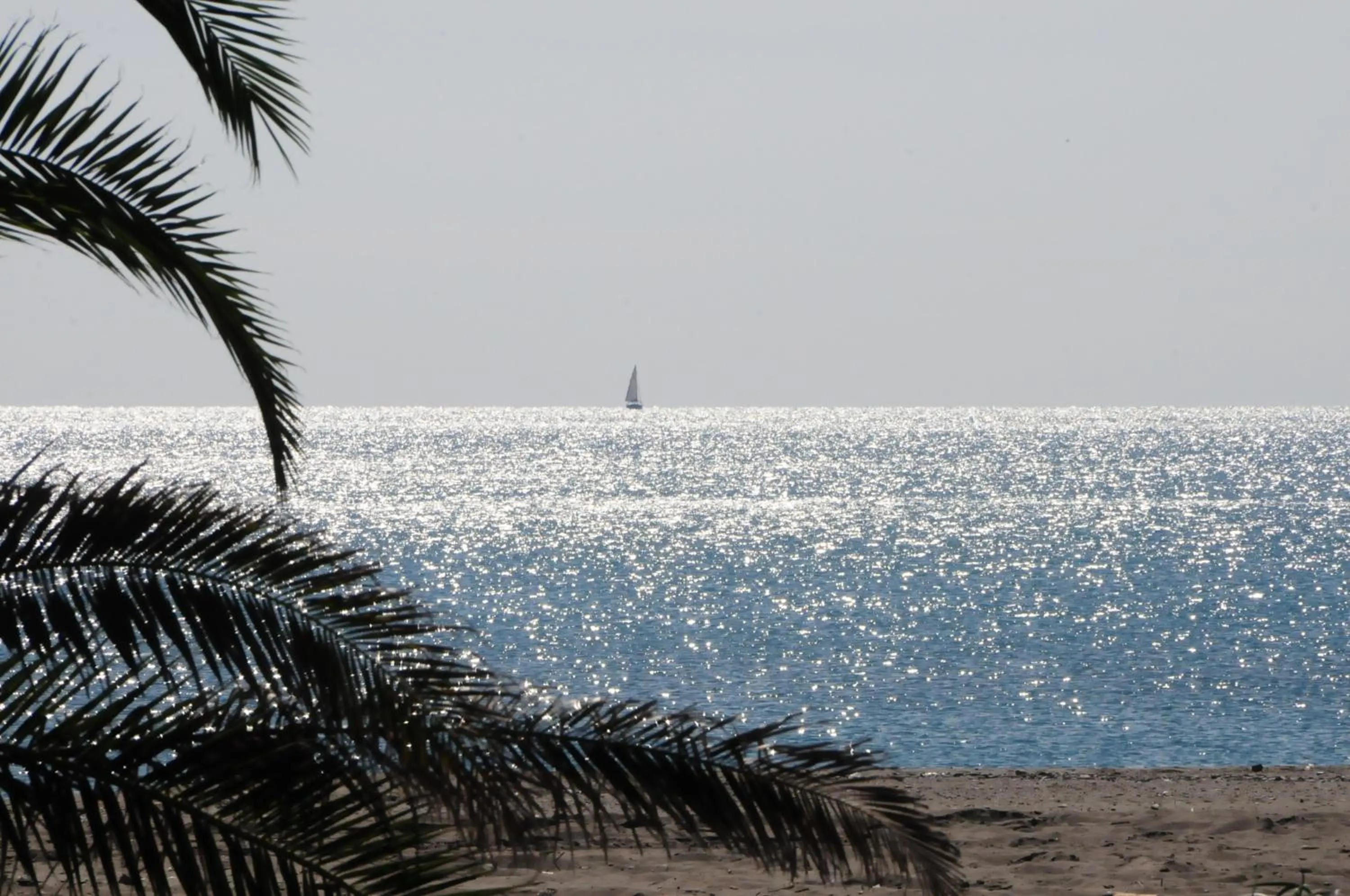 Beach in Sira Resort