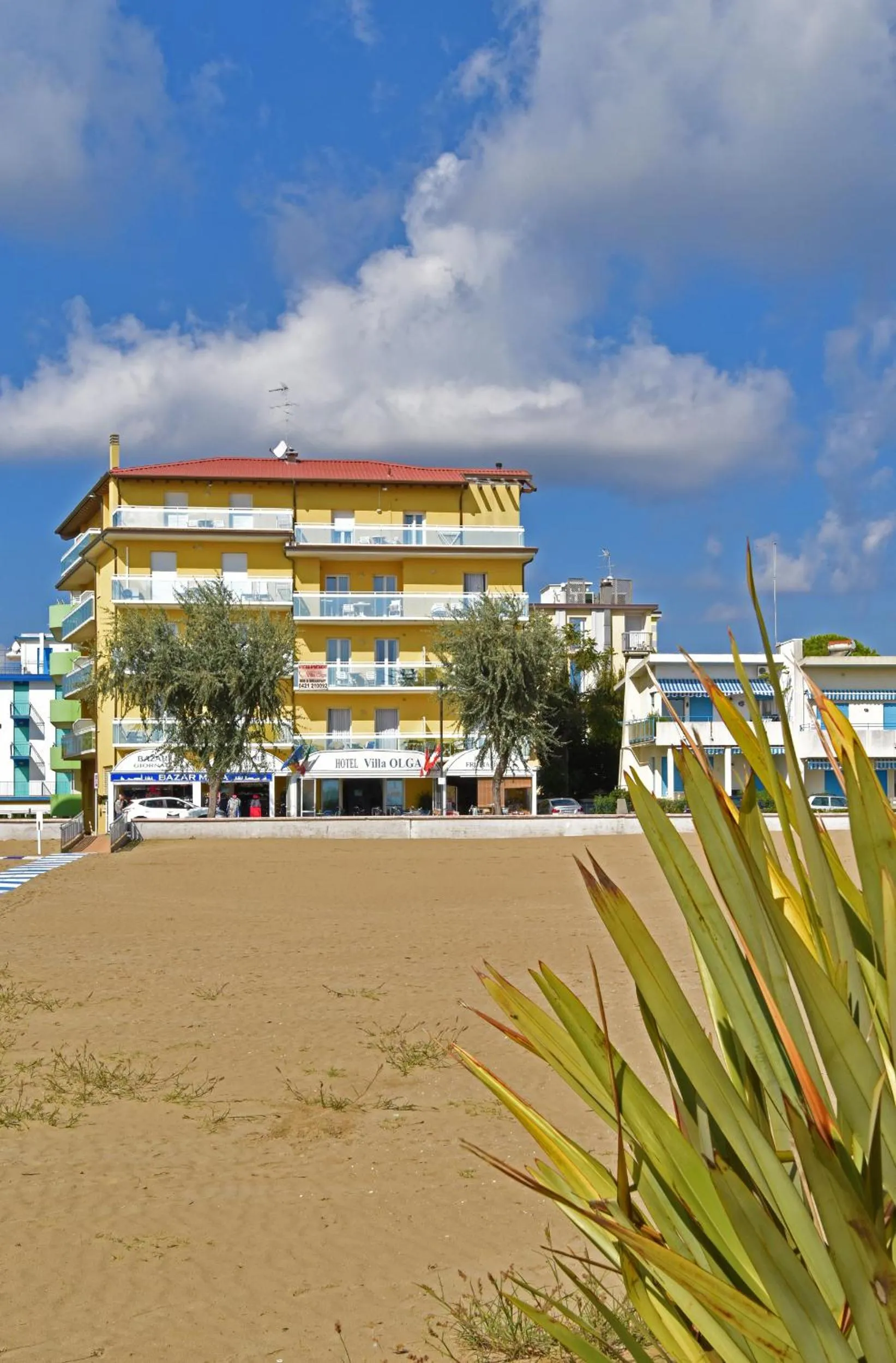 Property building in Hotel Villa Olga