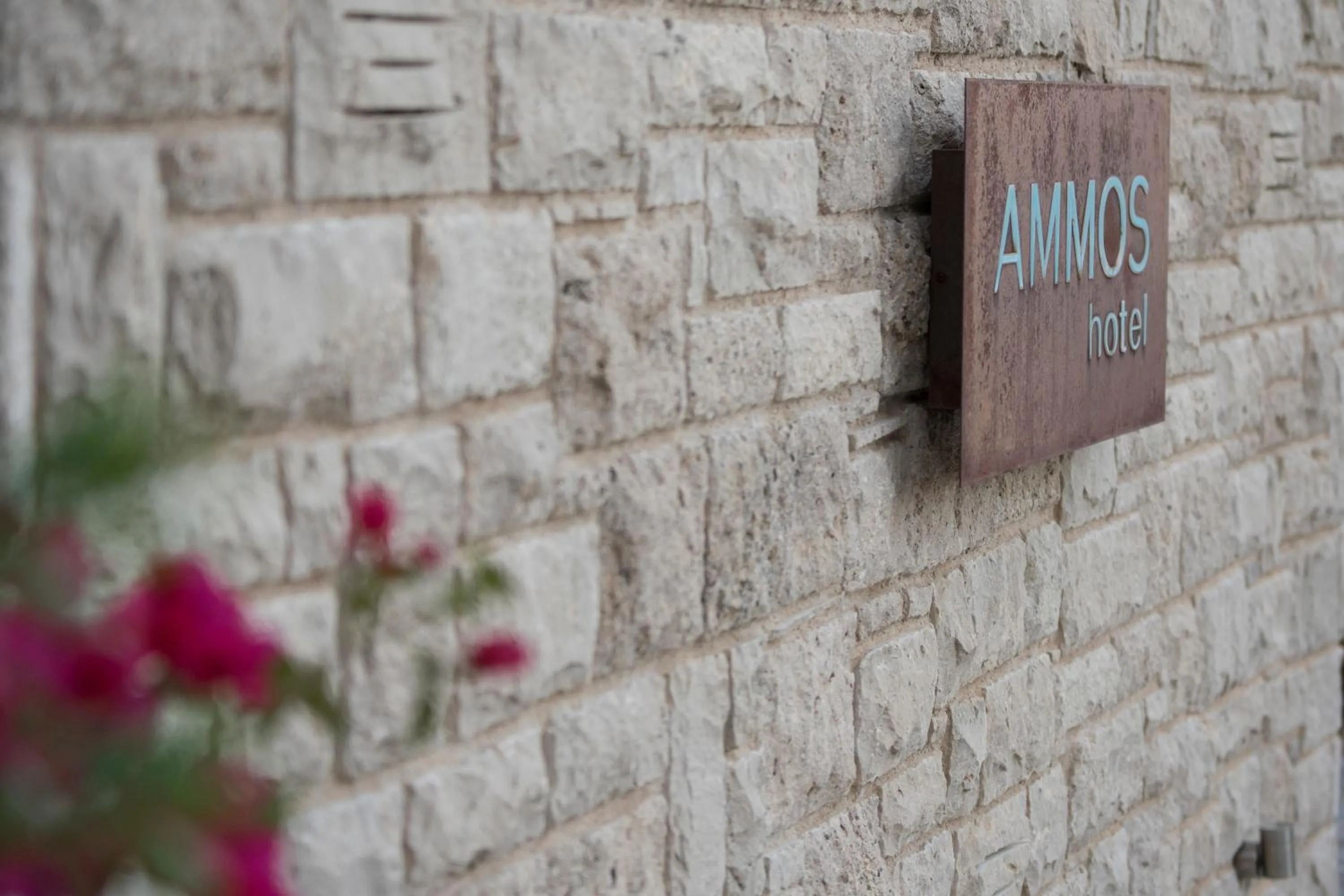 Facade/entrance in Skyros Ammos Hotel