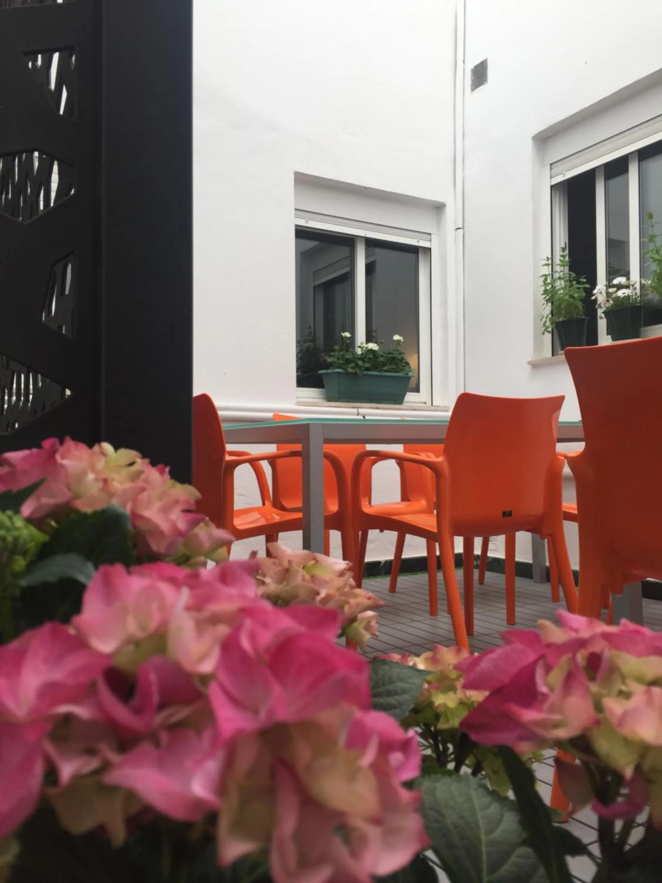 Málaga Centro Hostel