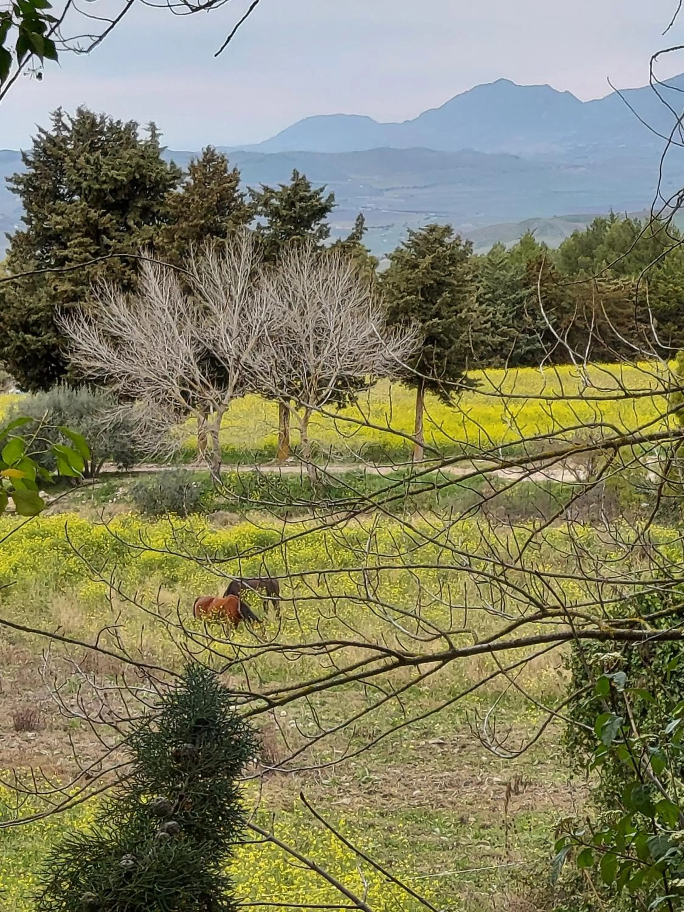 Natural landscape in Chiosi Country Club