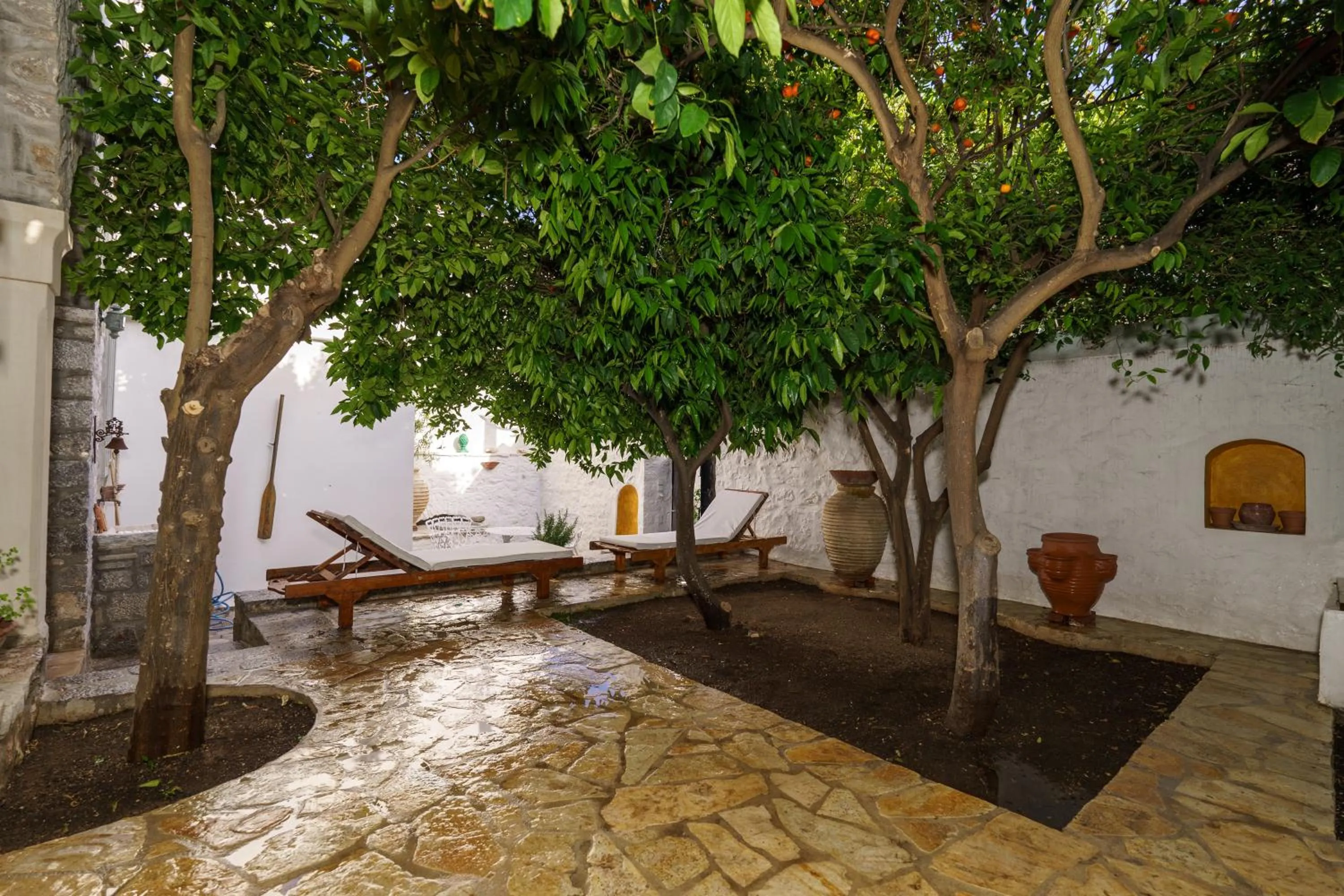 Garden in LIVIN Hydra Garden Suite