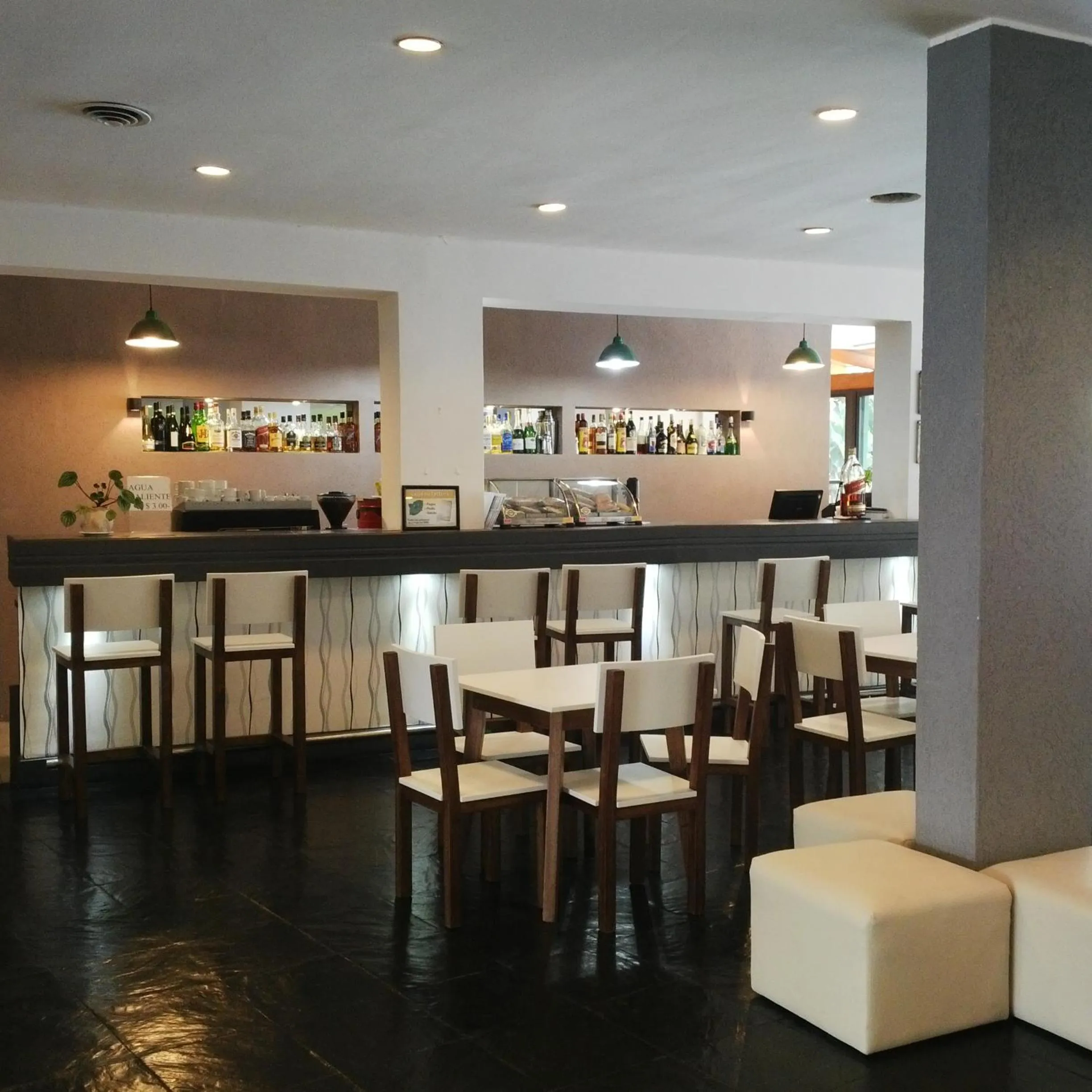 Lounge or bar in Hotel El Libertador