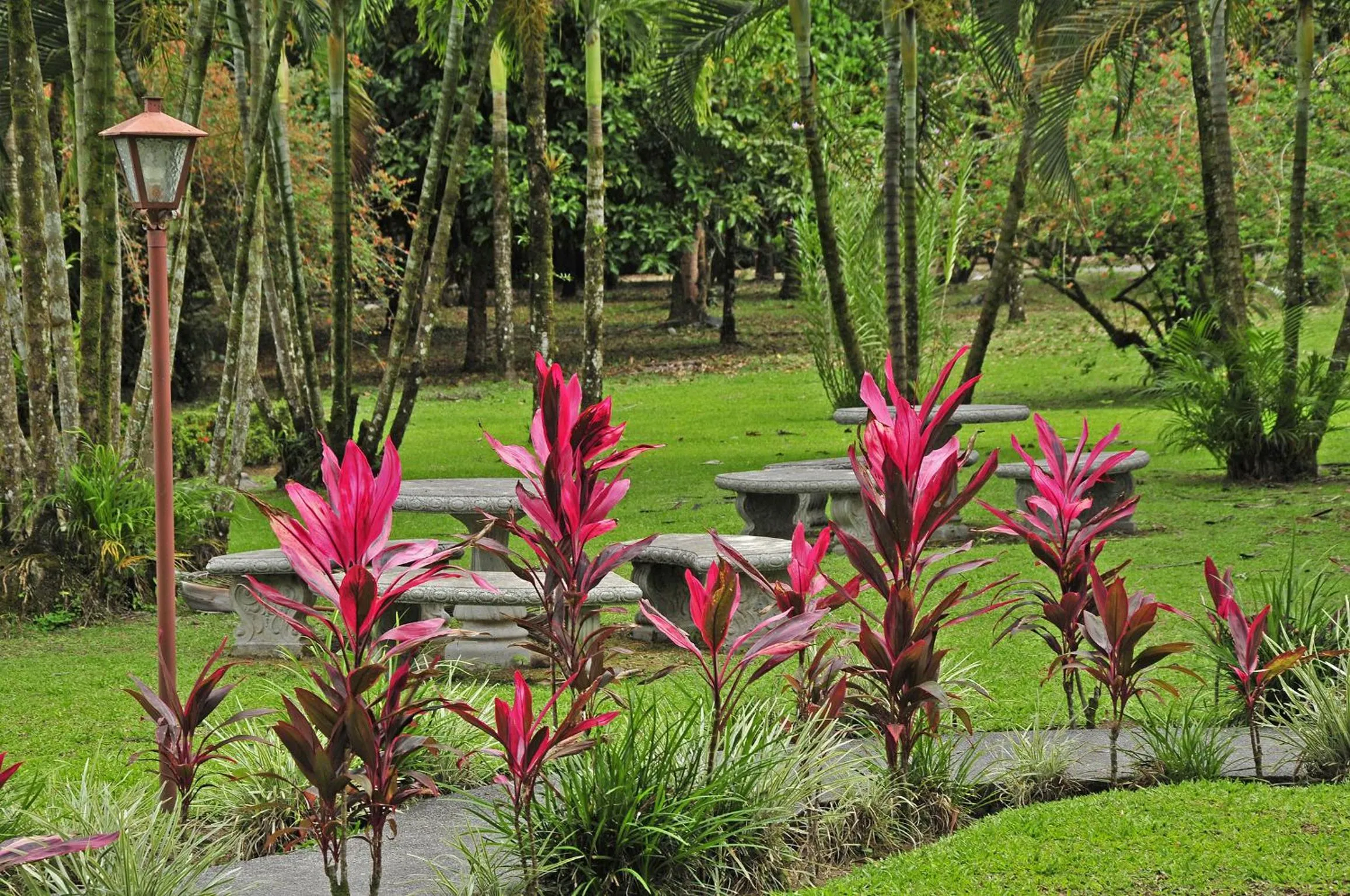 Garden in Hotel Arenal Country Inn