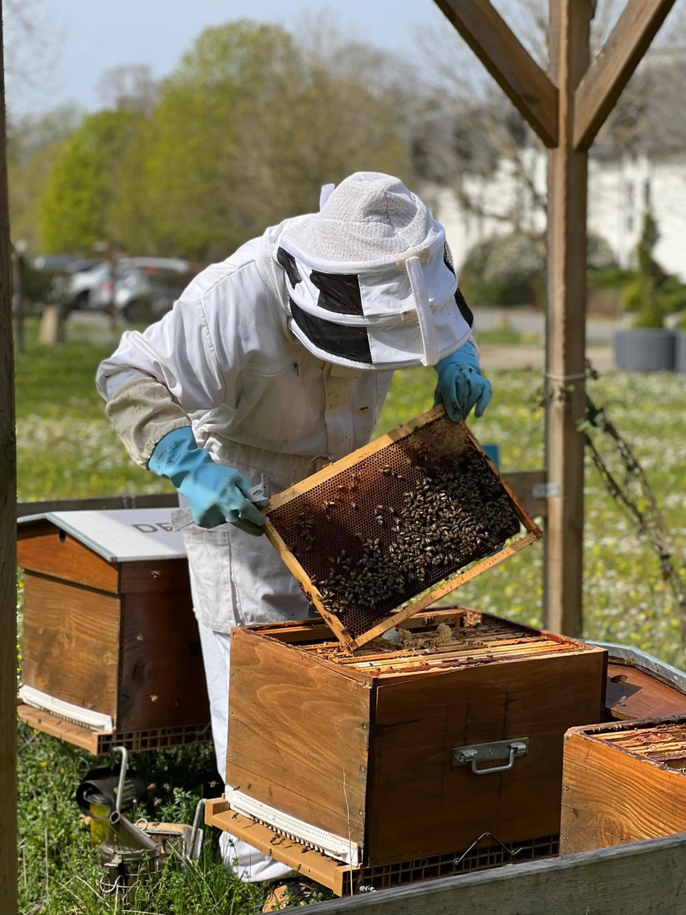 Garden in Hotel Mercure Parc du Coudray - Barbizon