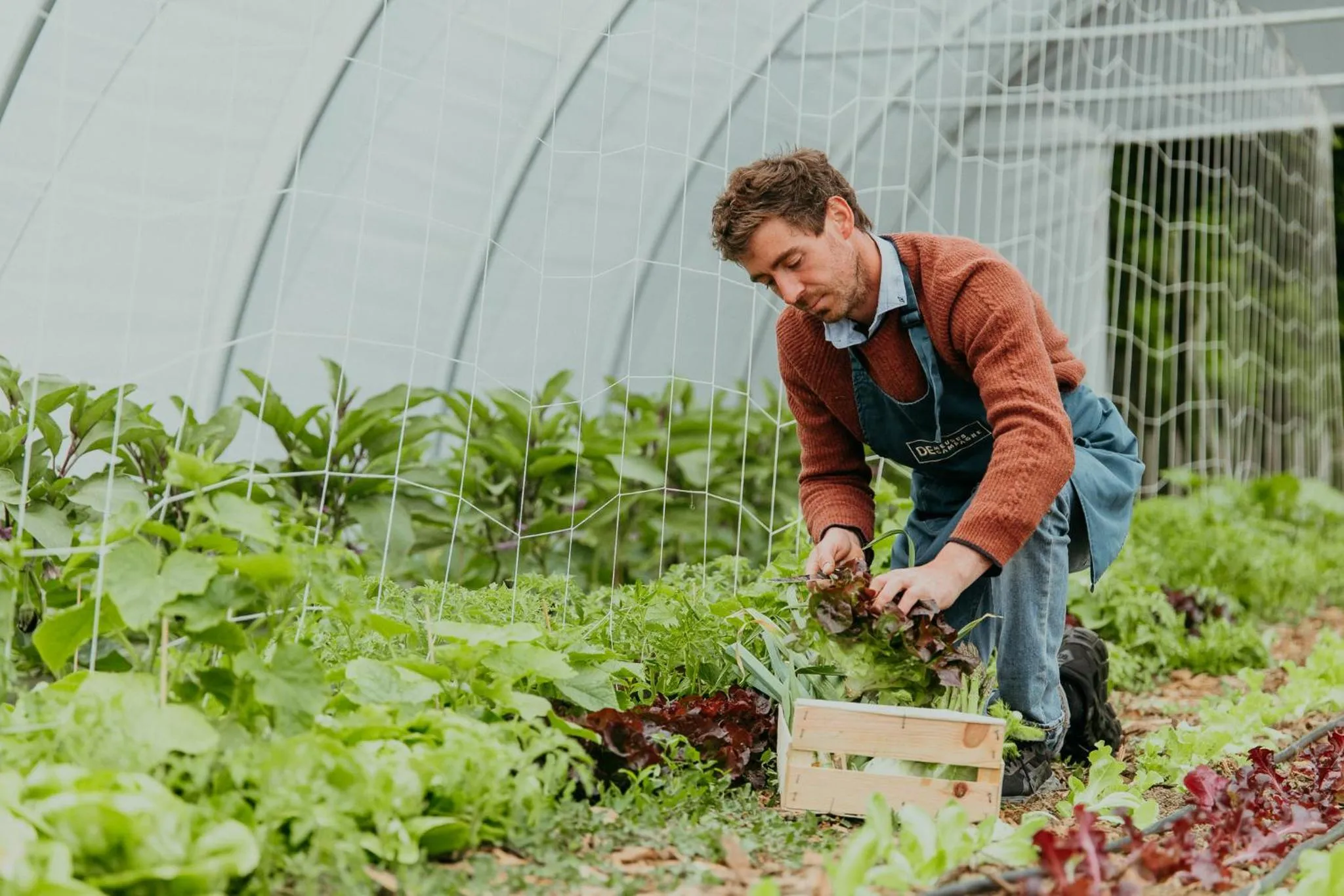 Garden in Hotel Mercure Parc du Coudray - Barbizon