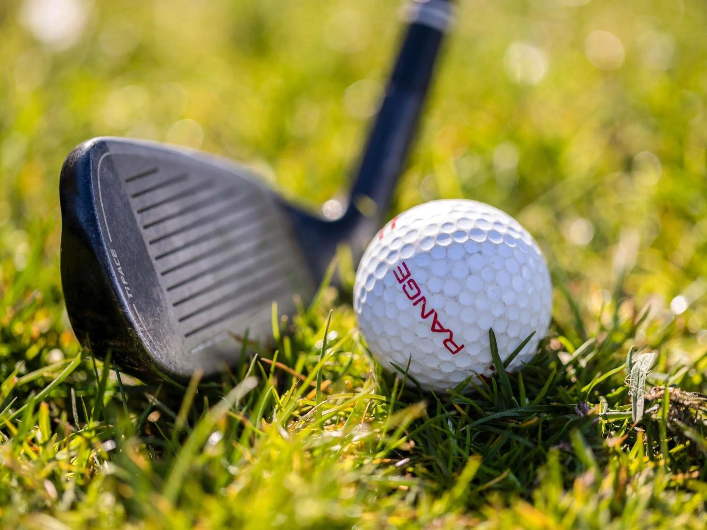 Golfcourse in Hotel Mercure Parc du Coudray - Barbizon