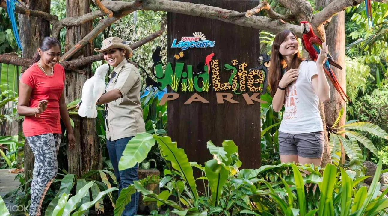 Resort Suites Pyramid & Lagoon