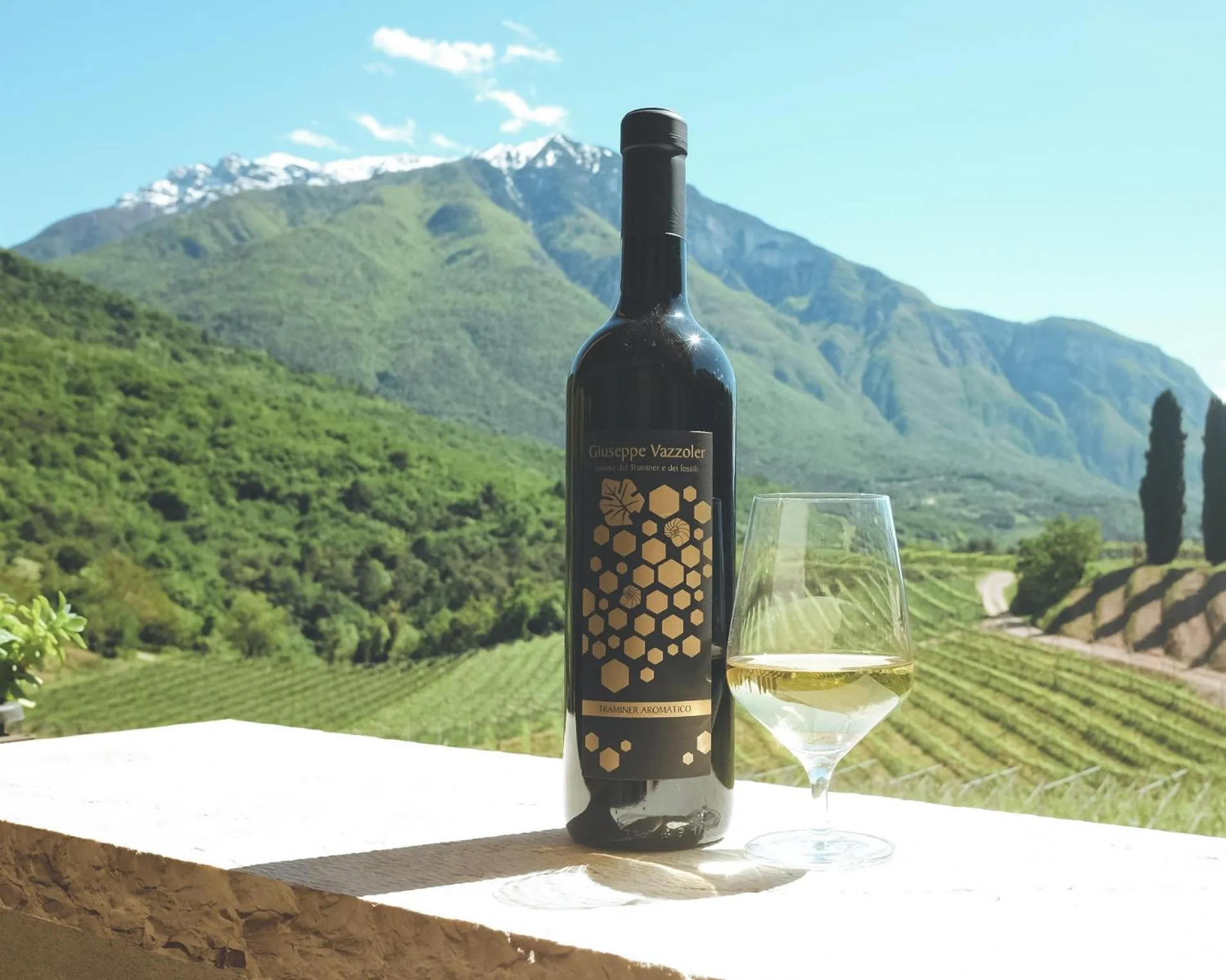 Mountain view in Agritur Casteller