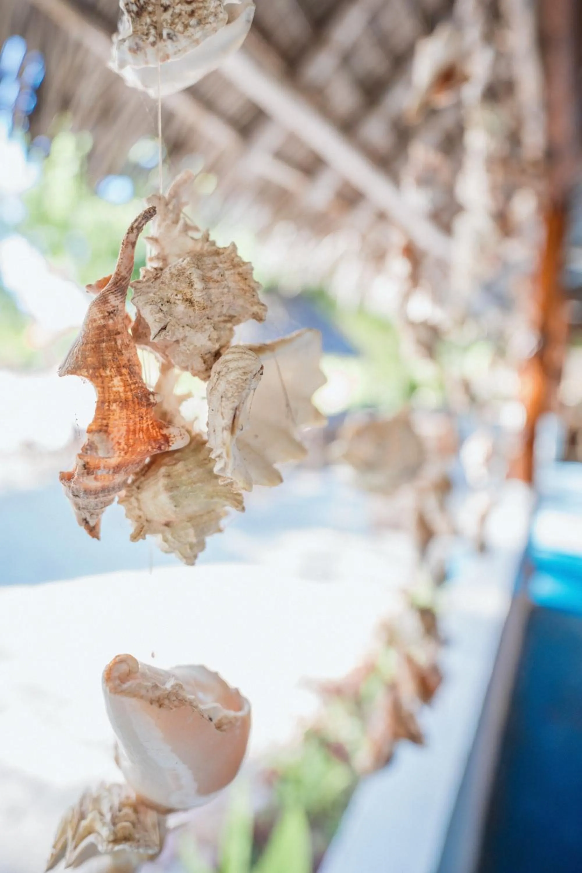 Restaurant/places to eat in Bella Vista Resort Zanzibar