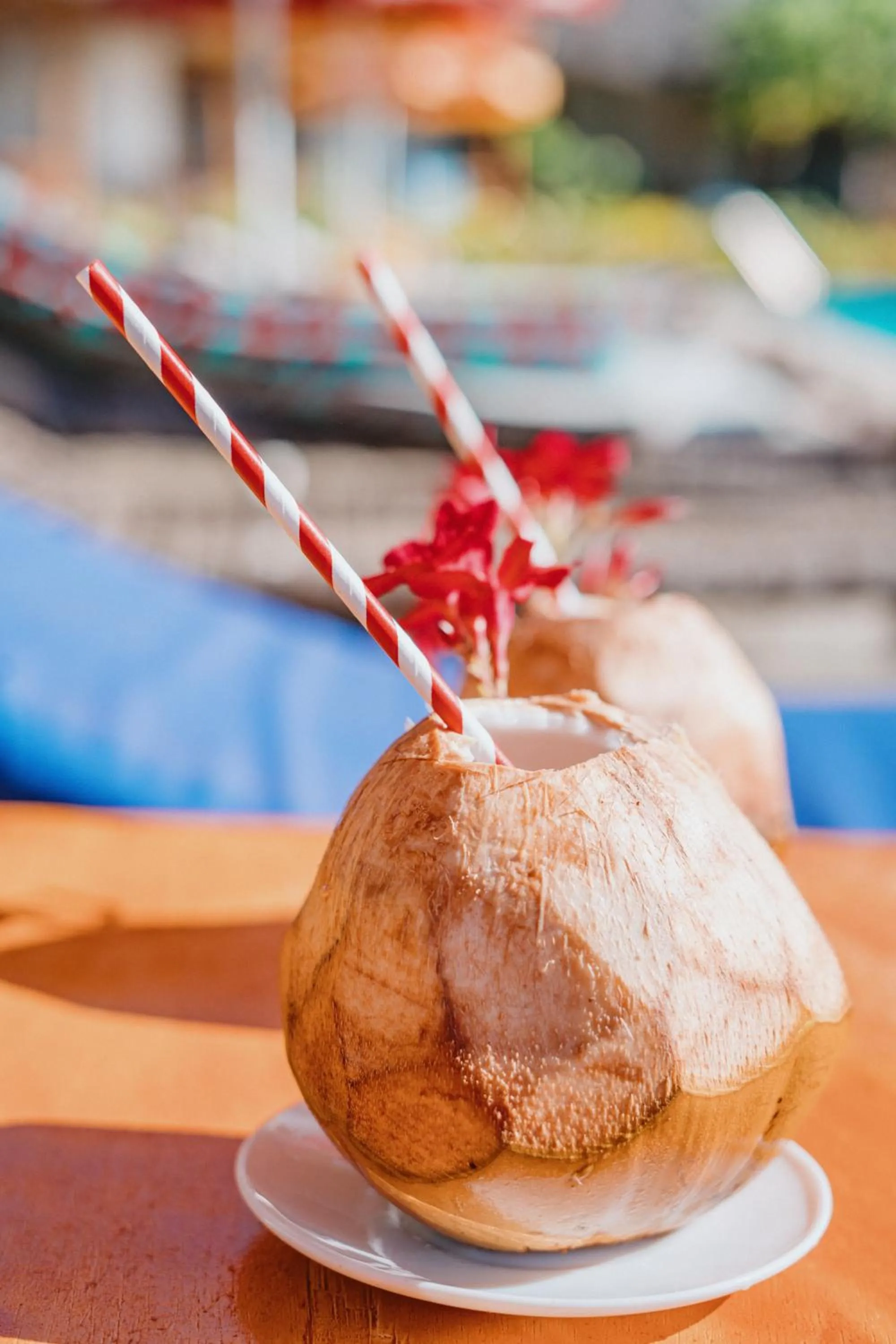 Drinks in Bella Vista Resort Zanzibar