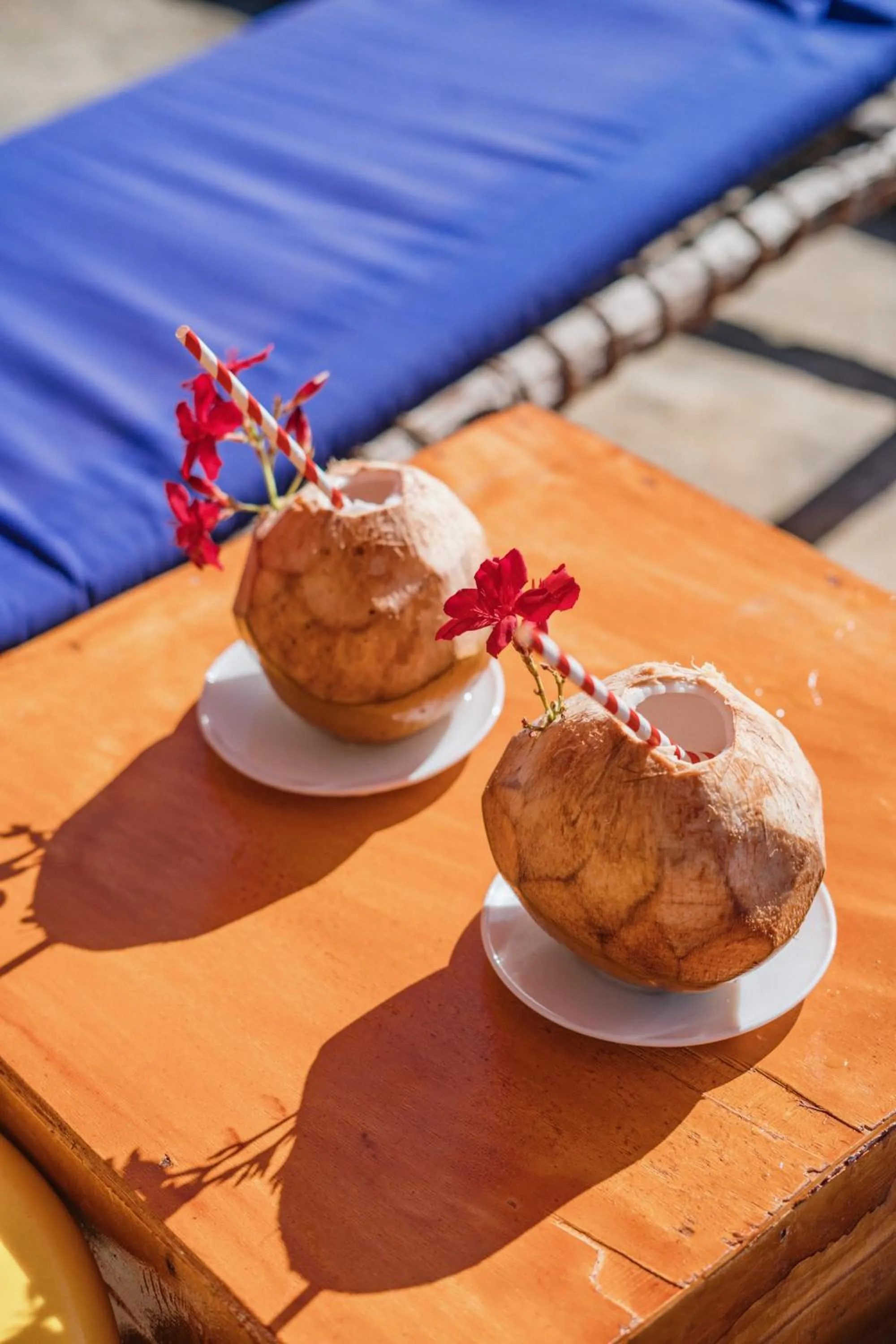 Food and drinks in Bella Vista Resort Zanzibar