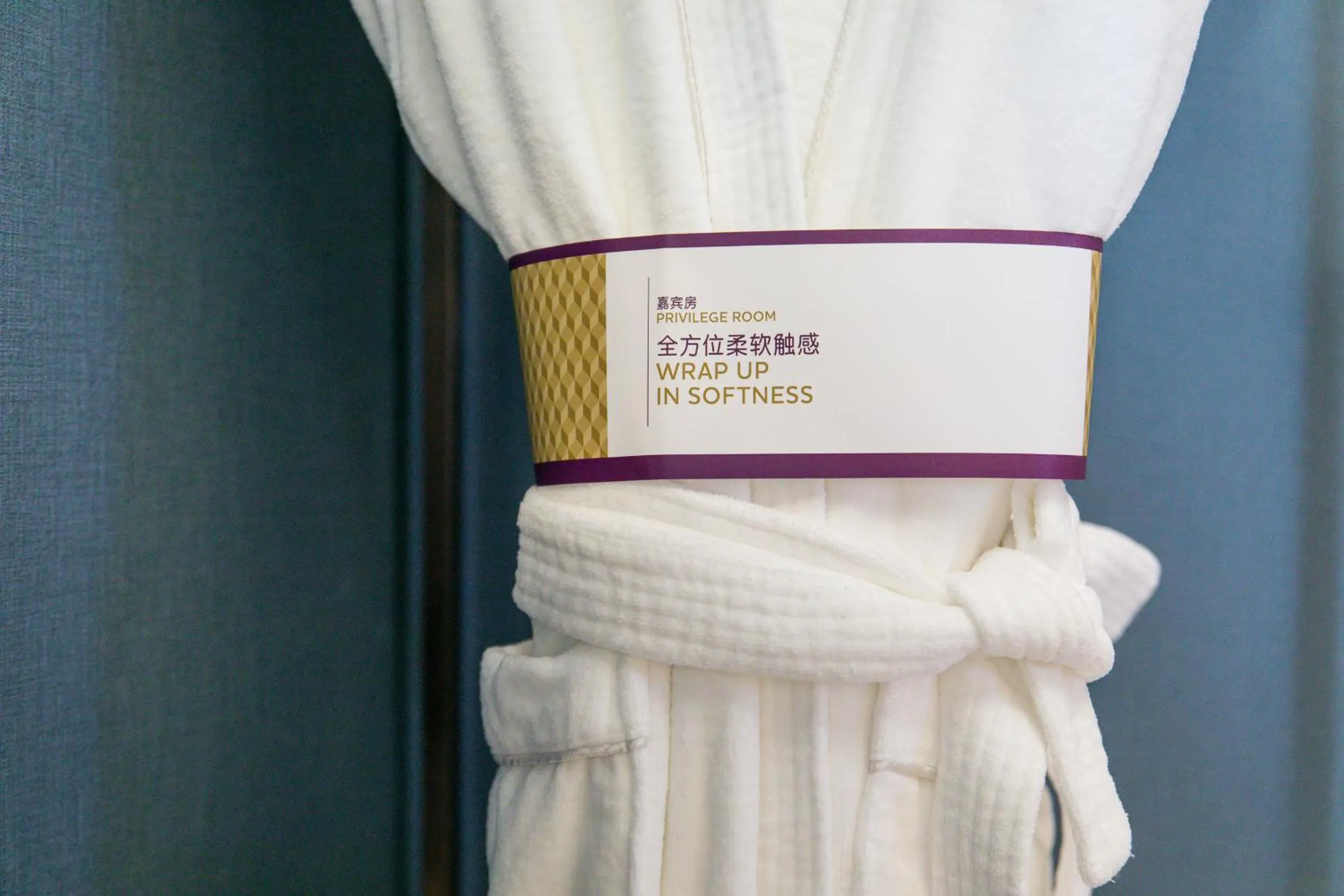 wardrobe in Mercure Xi'an Qujiang