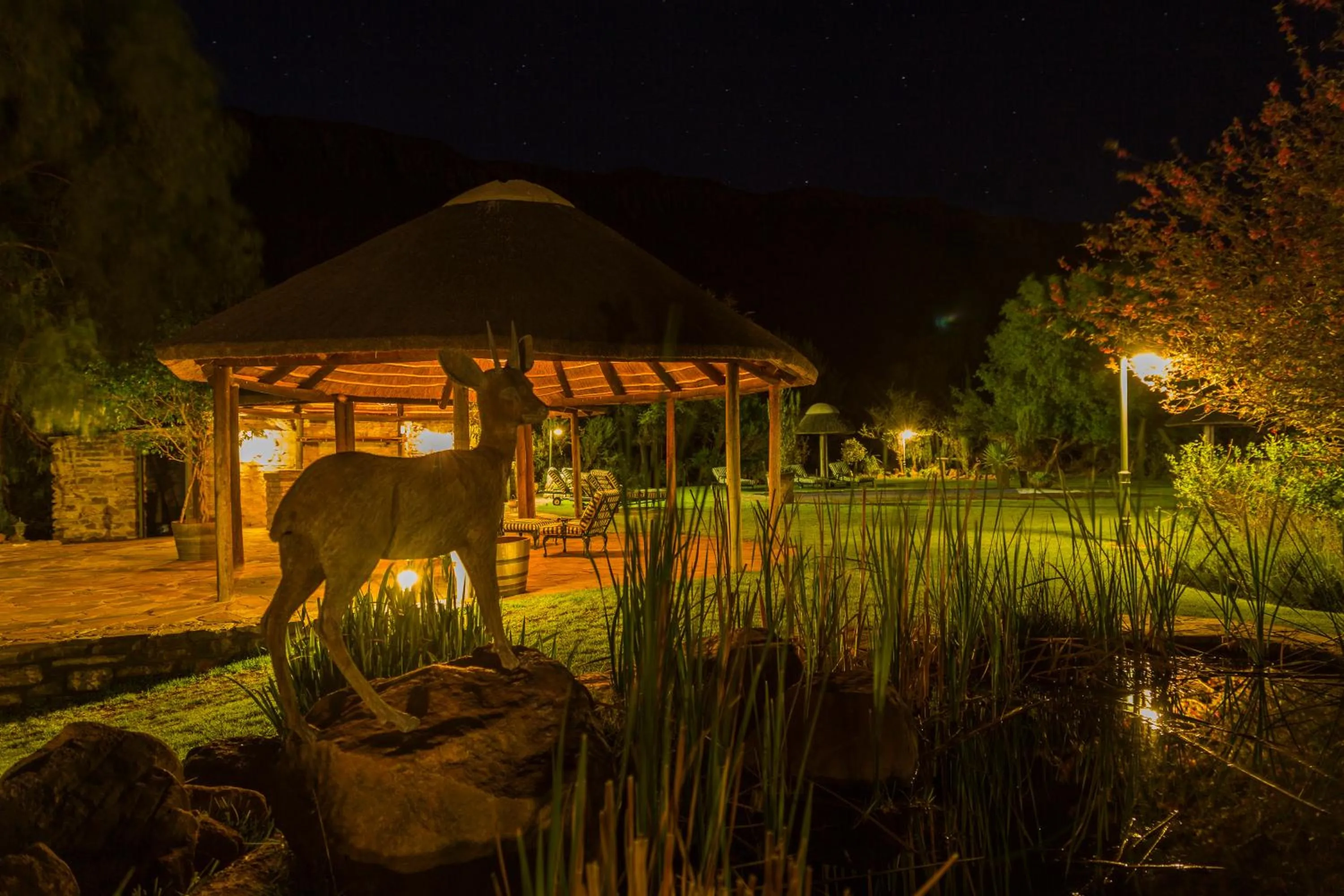 Night in Lemoenfontein