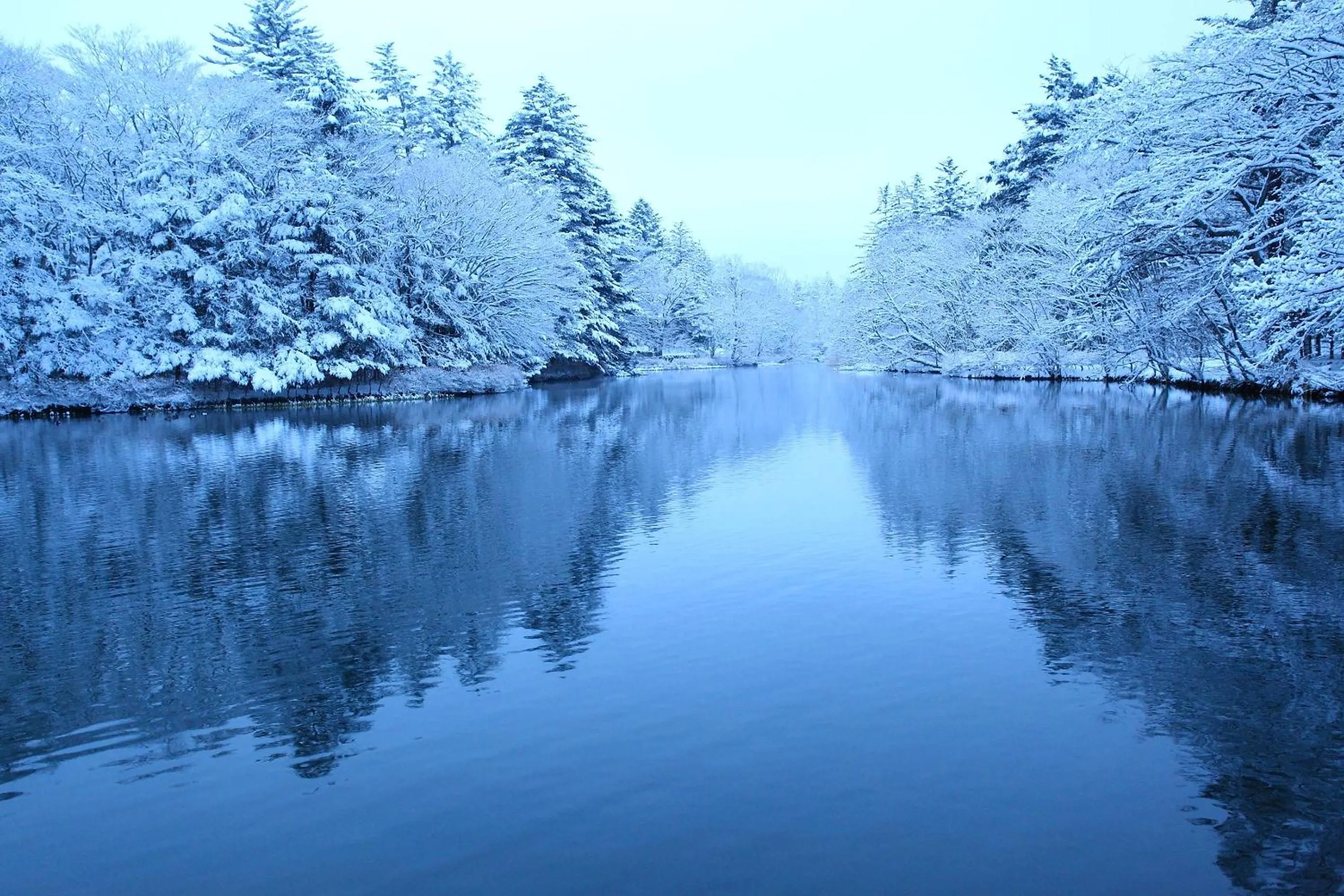 Natural landscape in Tsuruya Ryokan