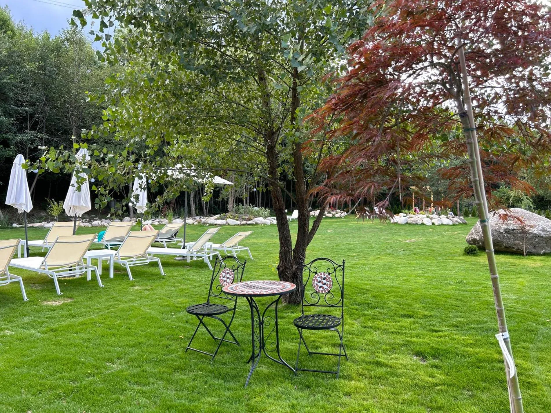 Spring in Predela LUX Aparthotel