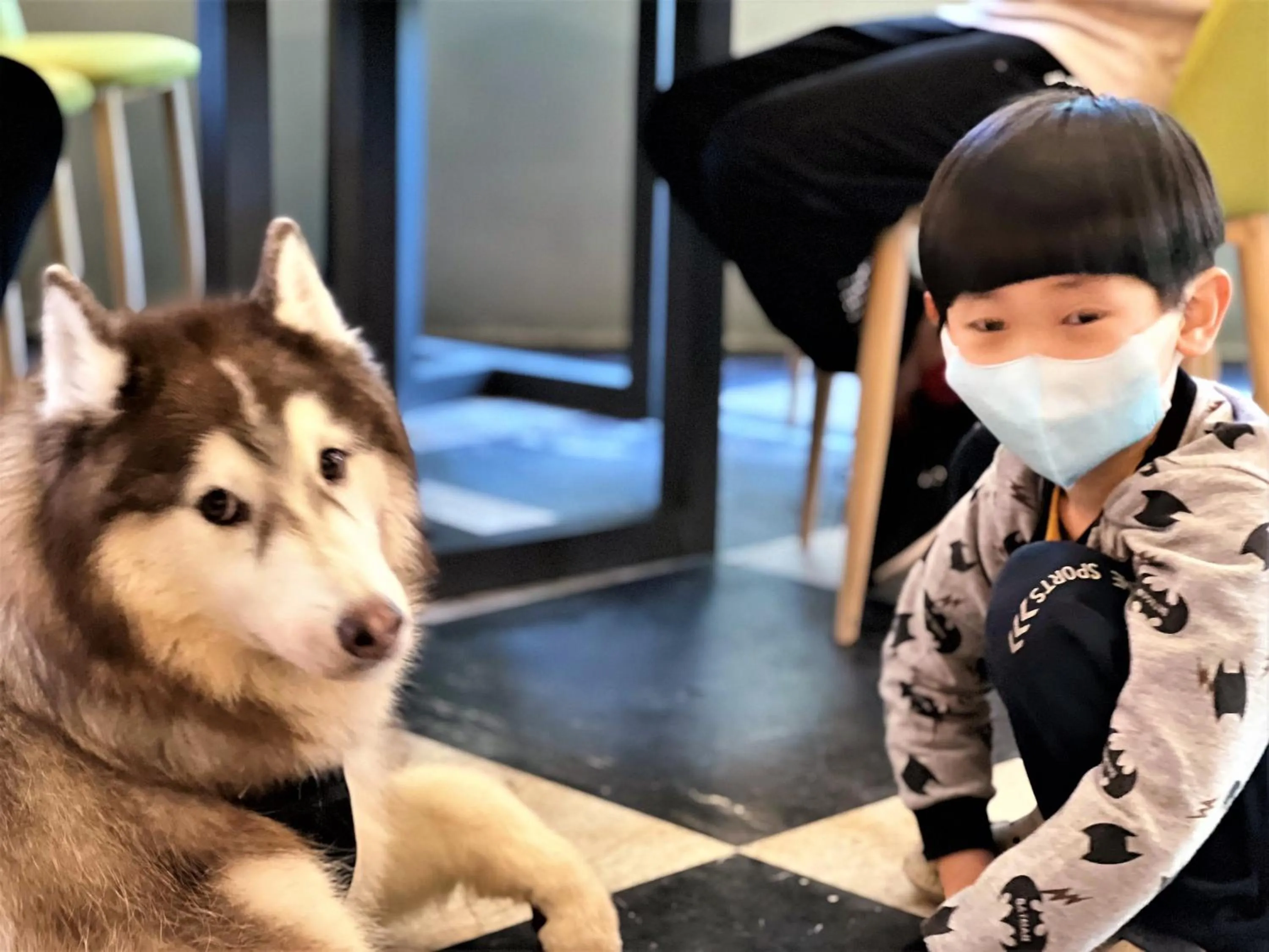 Animals in Blue Owl-Hualien No 2396-2397-2398-2399