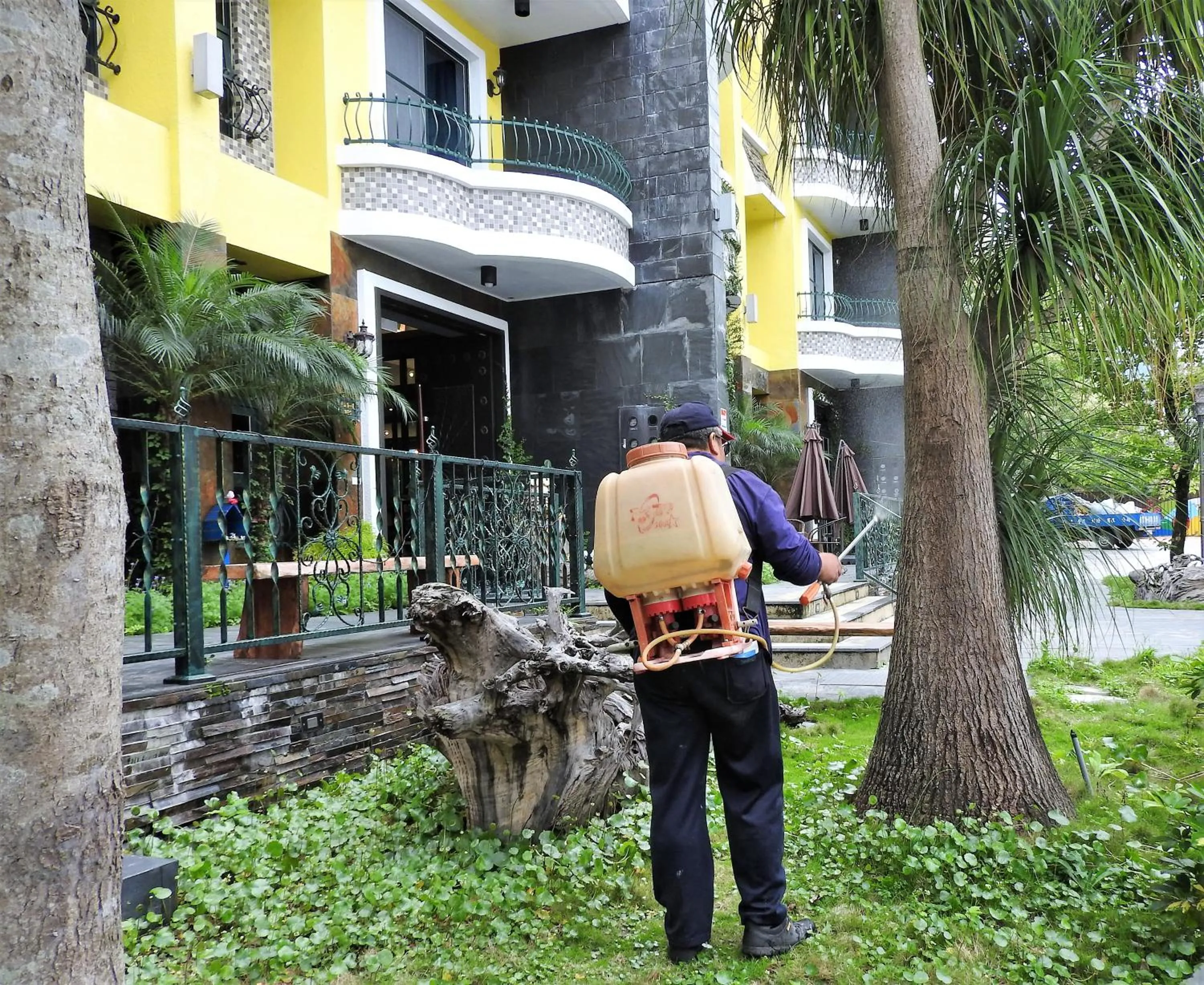 Staff in Blue Owl-Hualien No 2396-2397-2398-2399