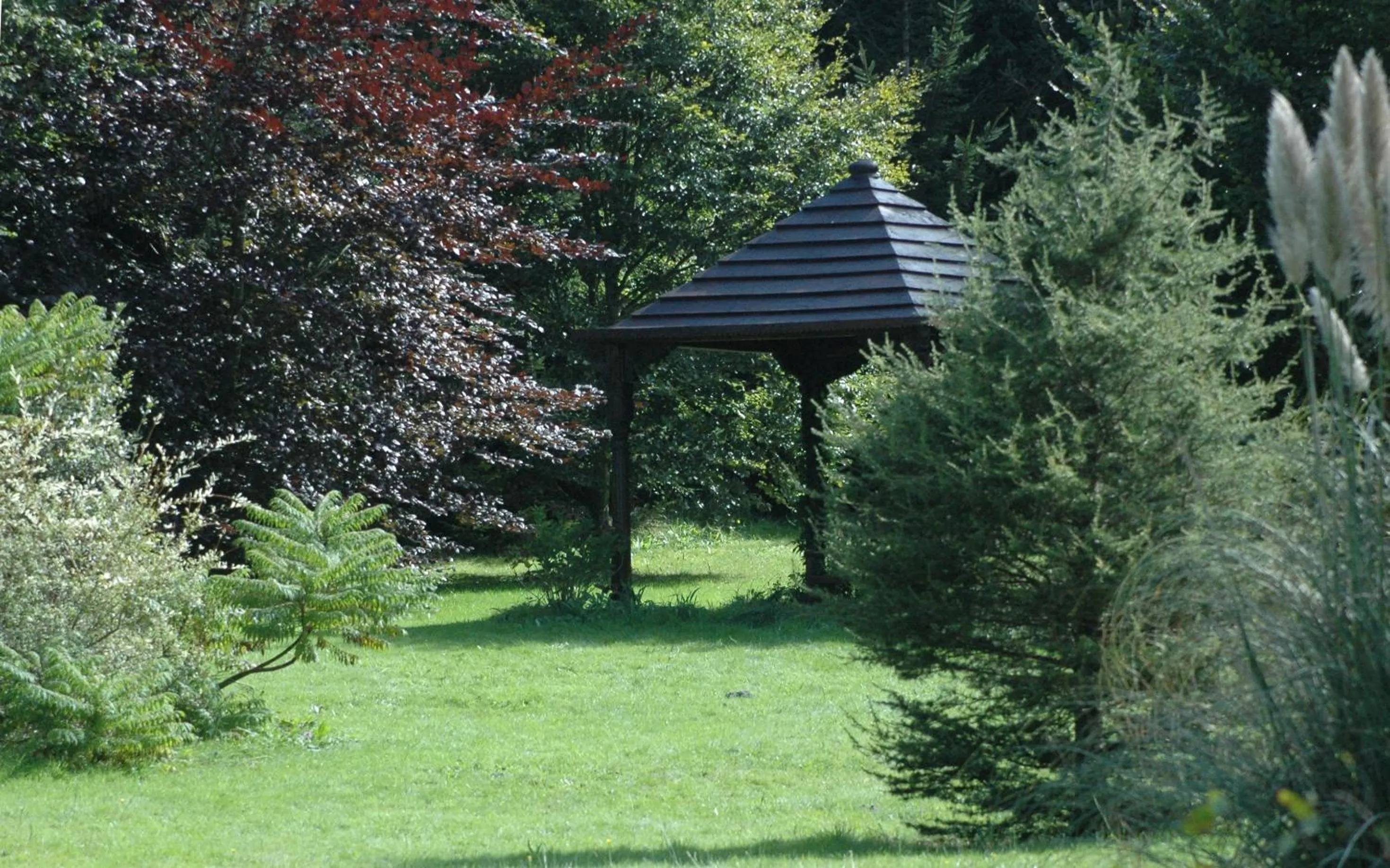 Garden in El Habana Llanes