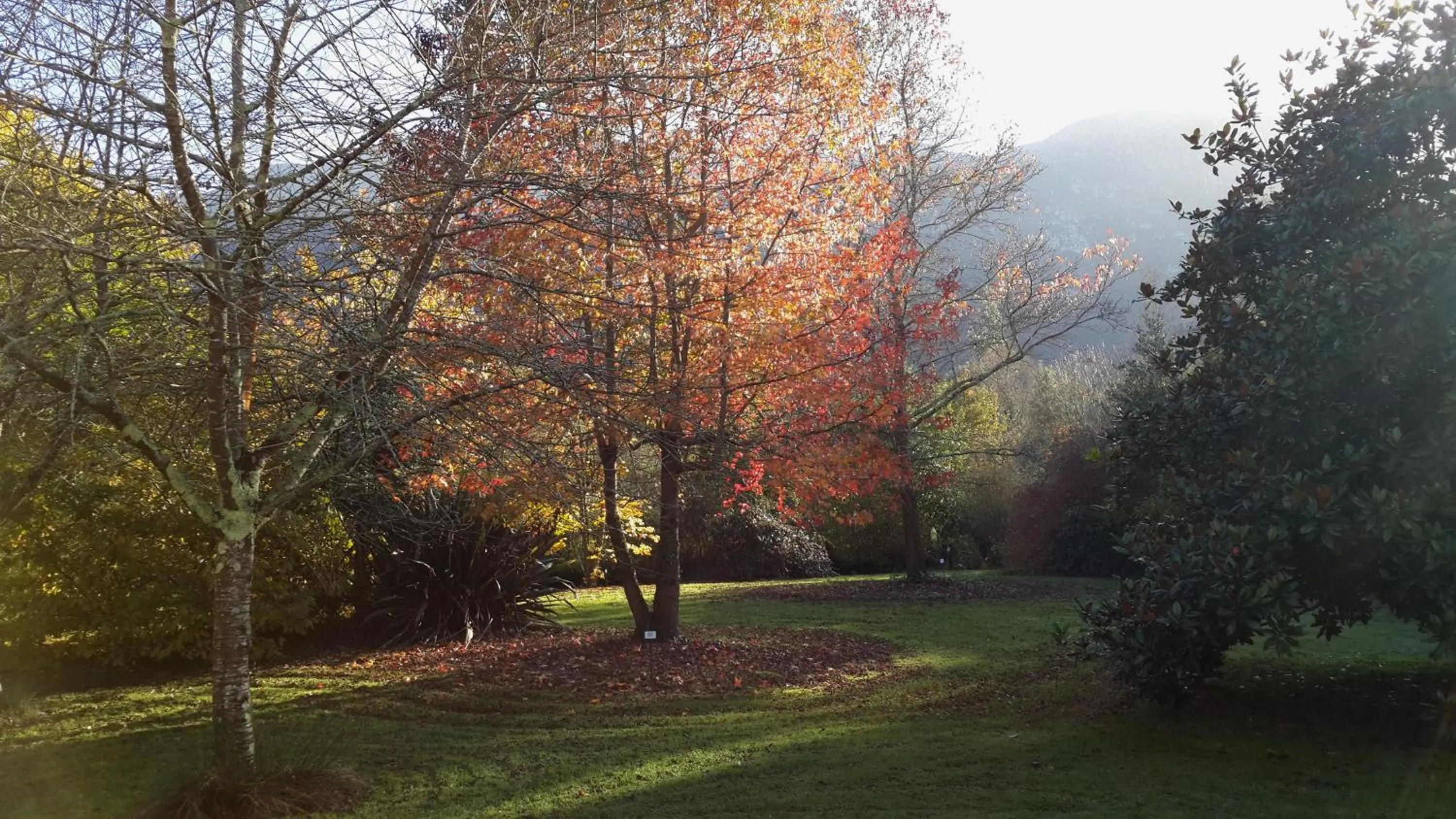 Activities in El Habana Llanes