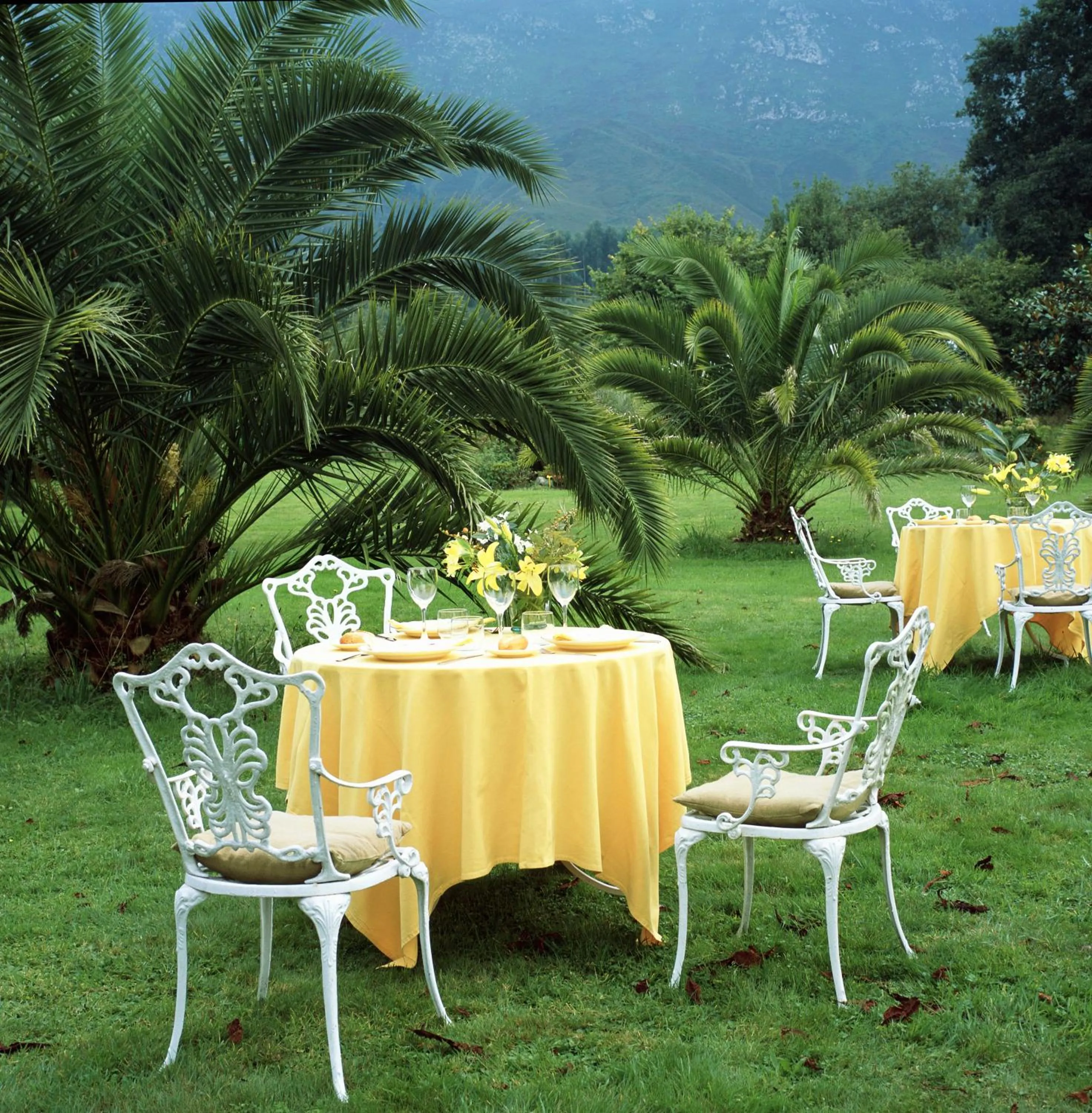 Garden in El Habana Llanes