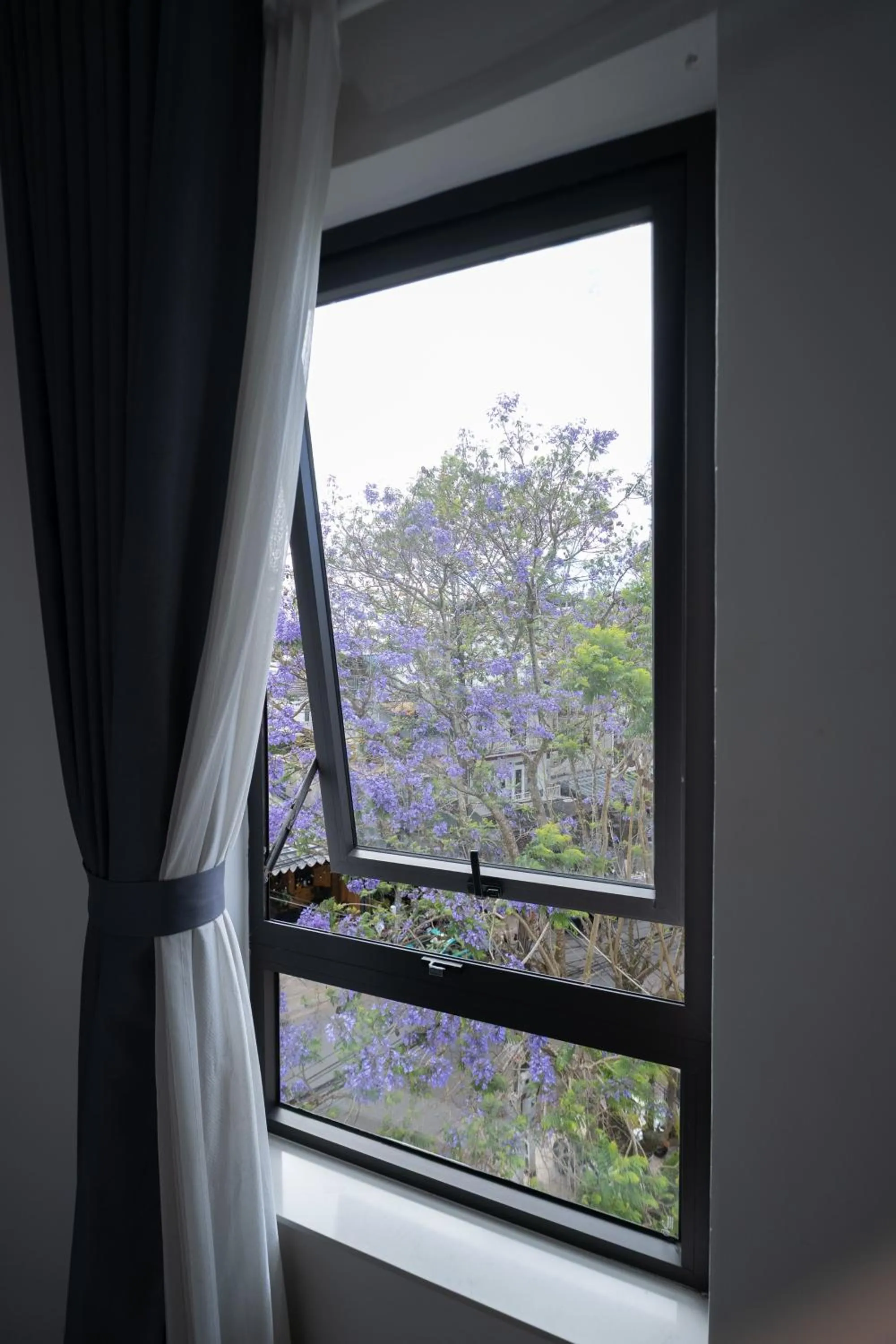 Natural landscape in N Queen Apartment Hotel