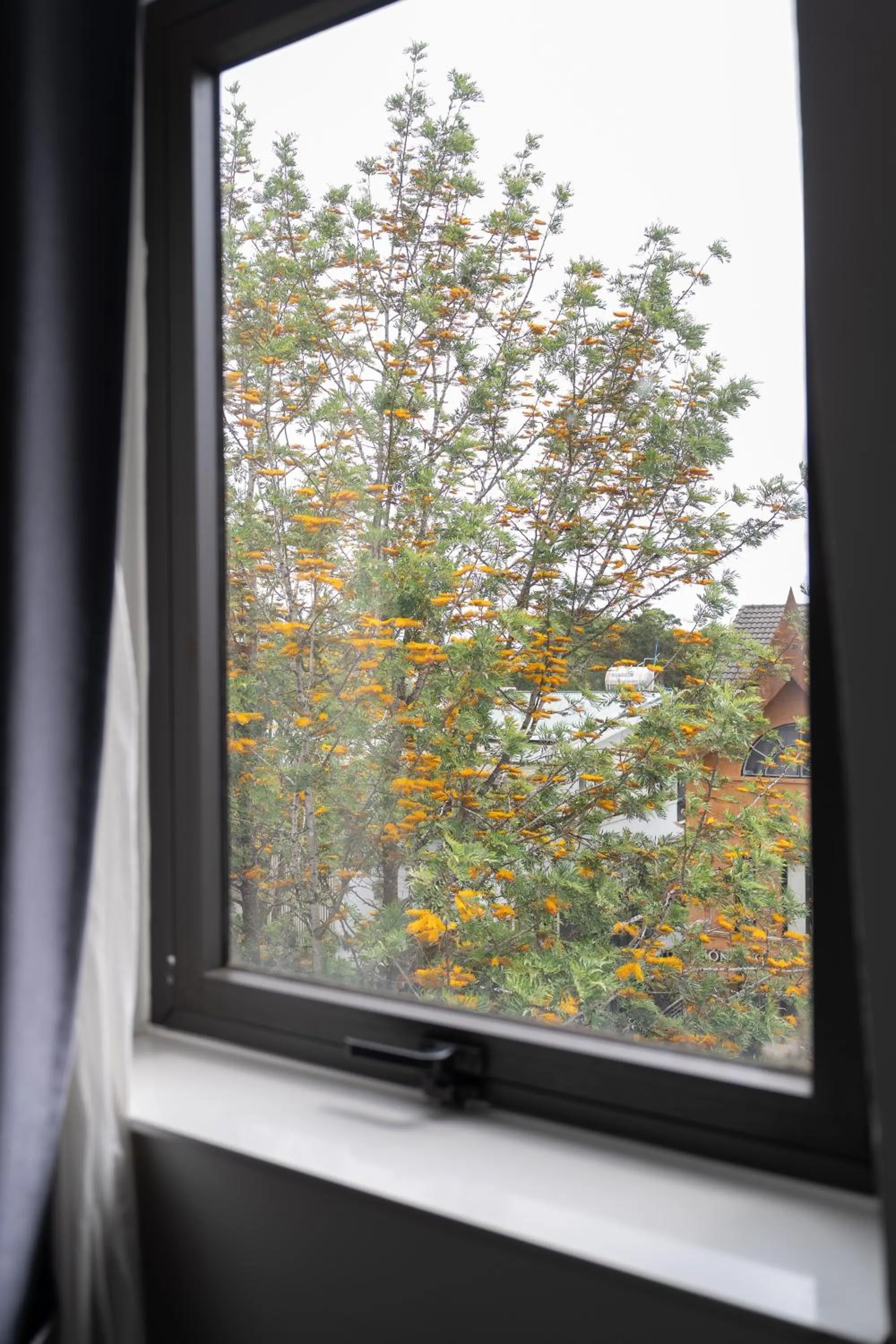 Natural landscape in N Queen Apartment Hotel