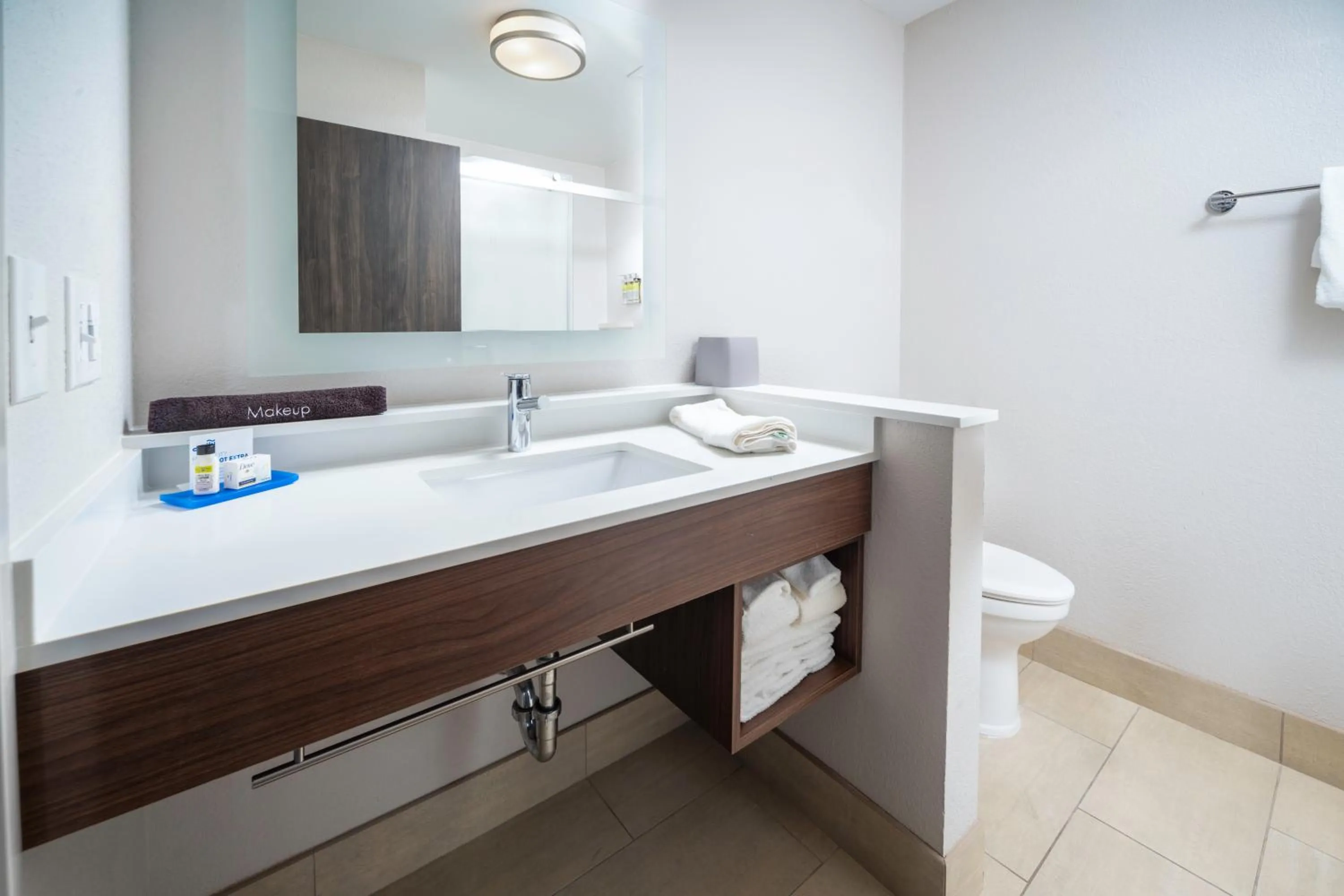 Bathroom in Holiday Inn Express & Suites - Florence - Cincinnati Airport by IHG