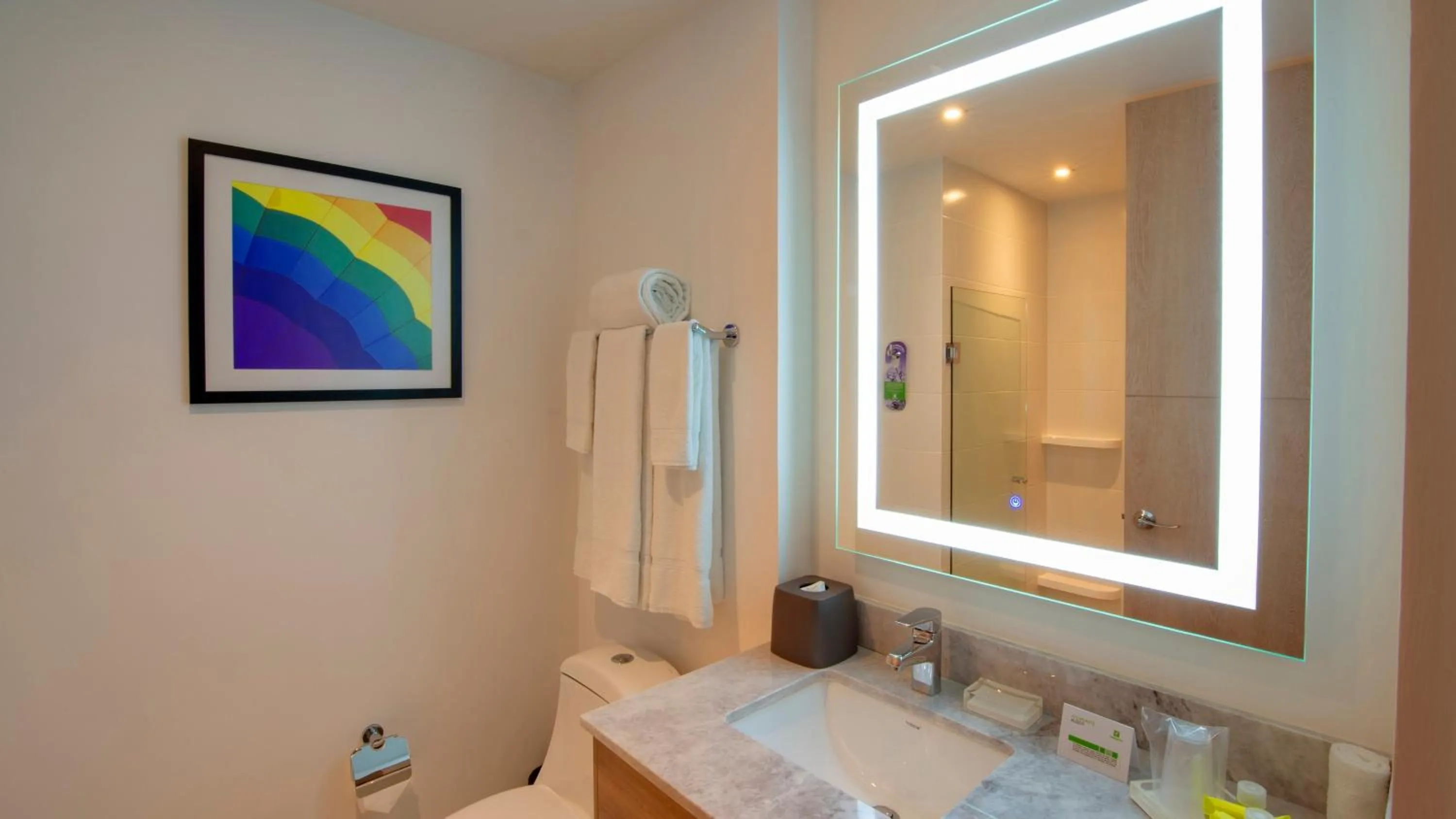 Bathroom in Holiday Inn & Suites - Merida La Isla by IHG