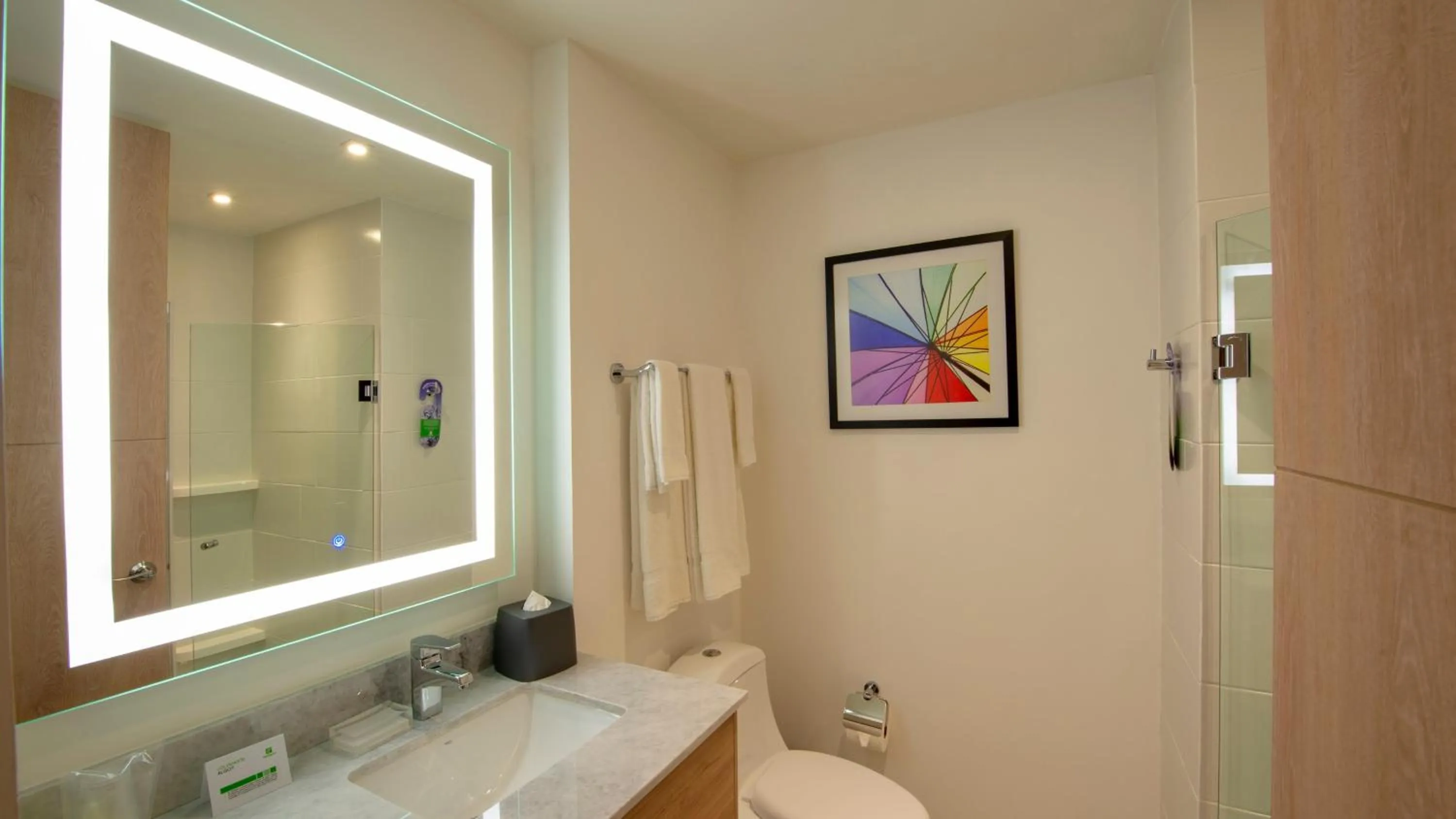 Bathroom in Holiday Inn & Suites - Merida La Isla by IHG