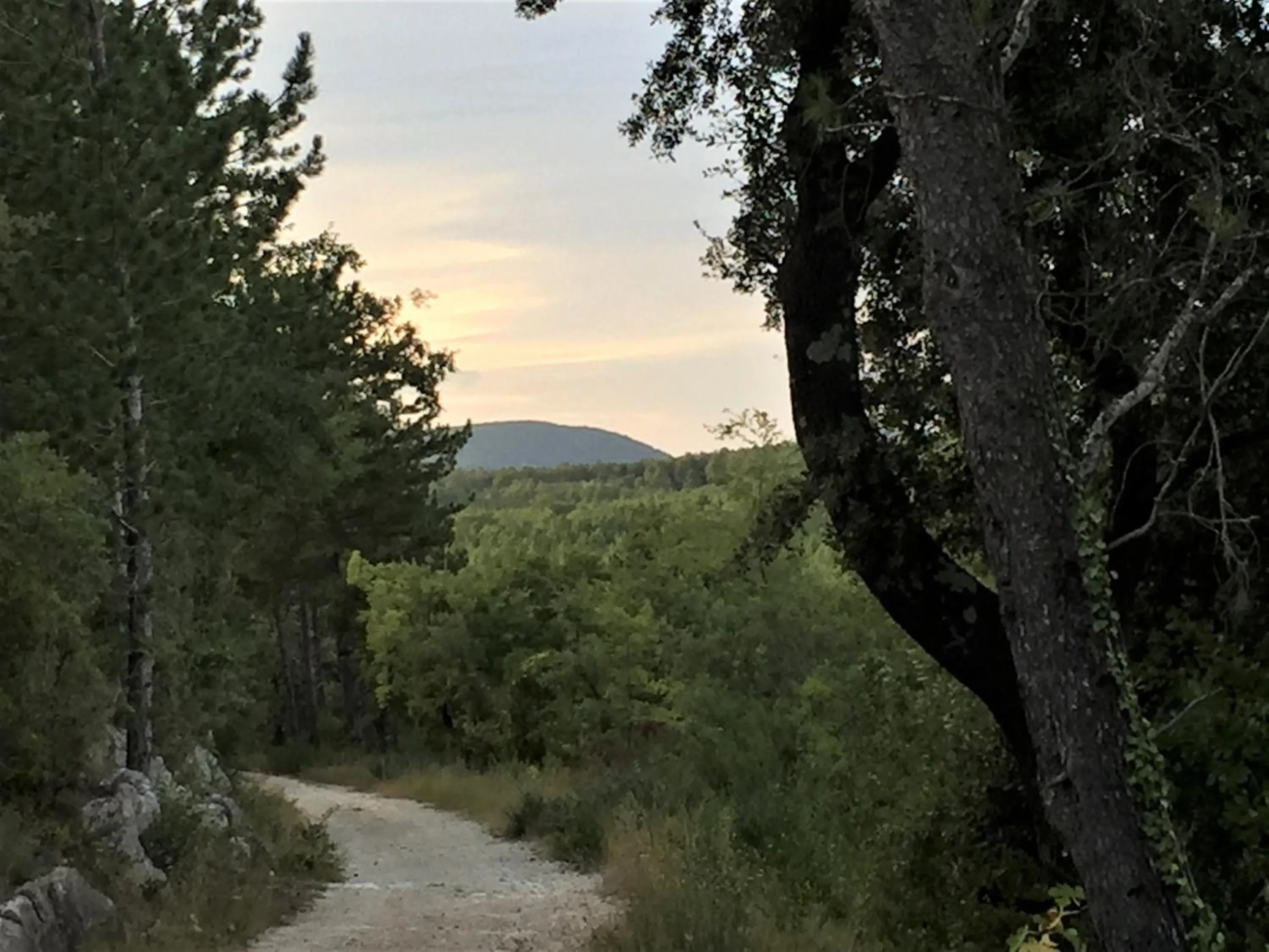Natural landscape in Le Mas des Sages
