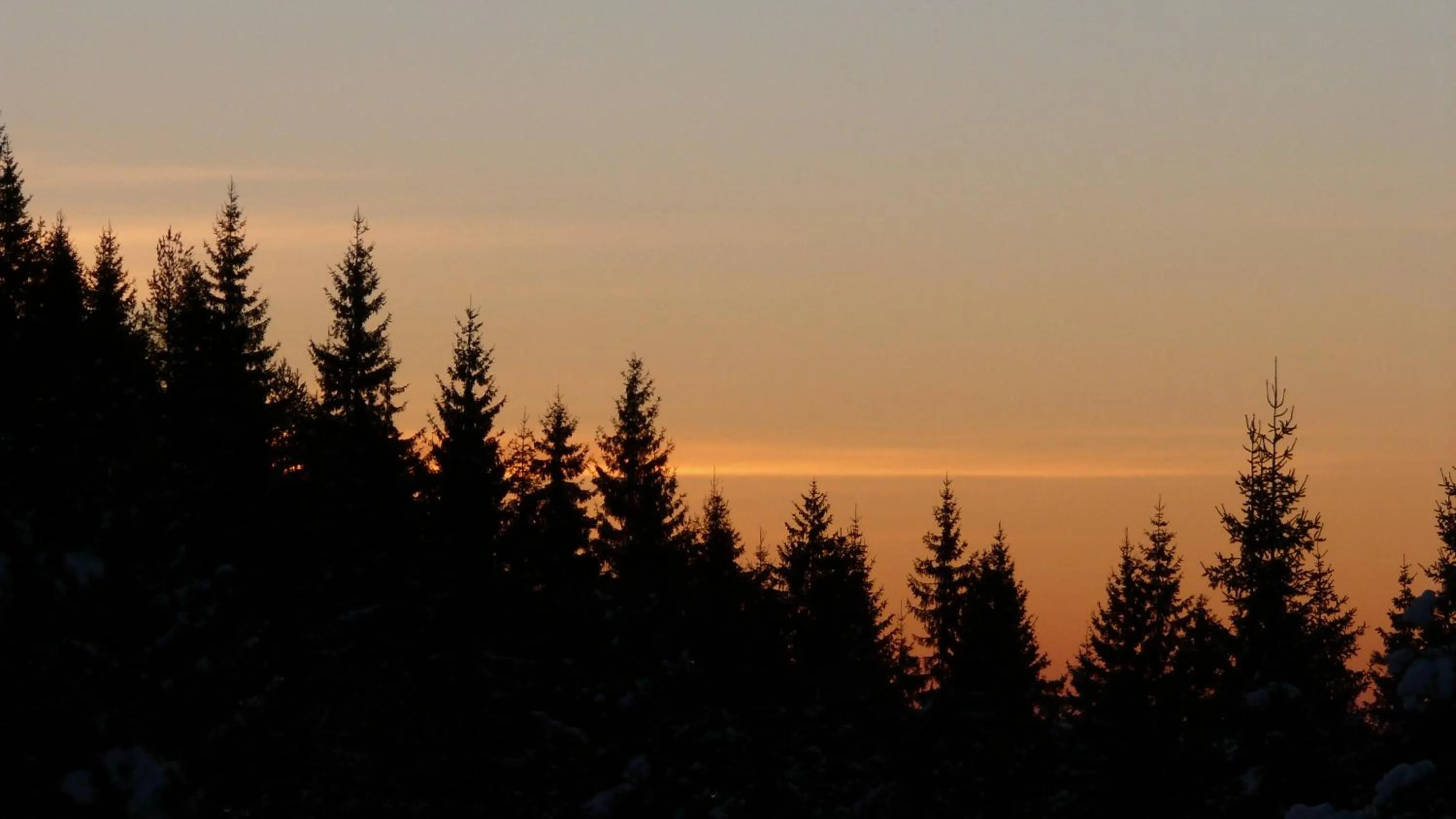 Natural landscape in Petrini Gonia