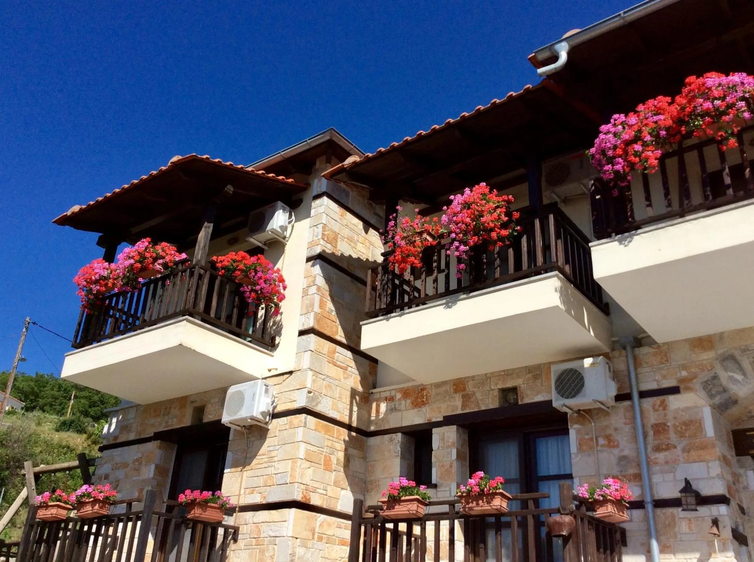 Property building in Petrini Gonia