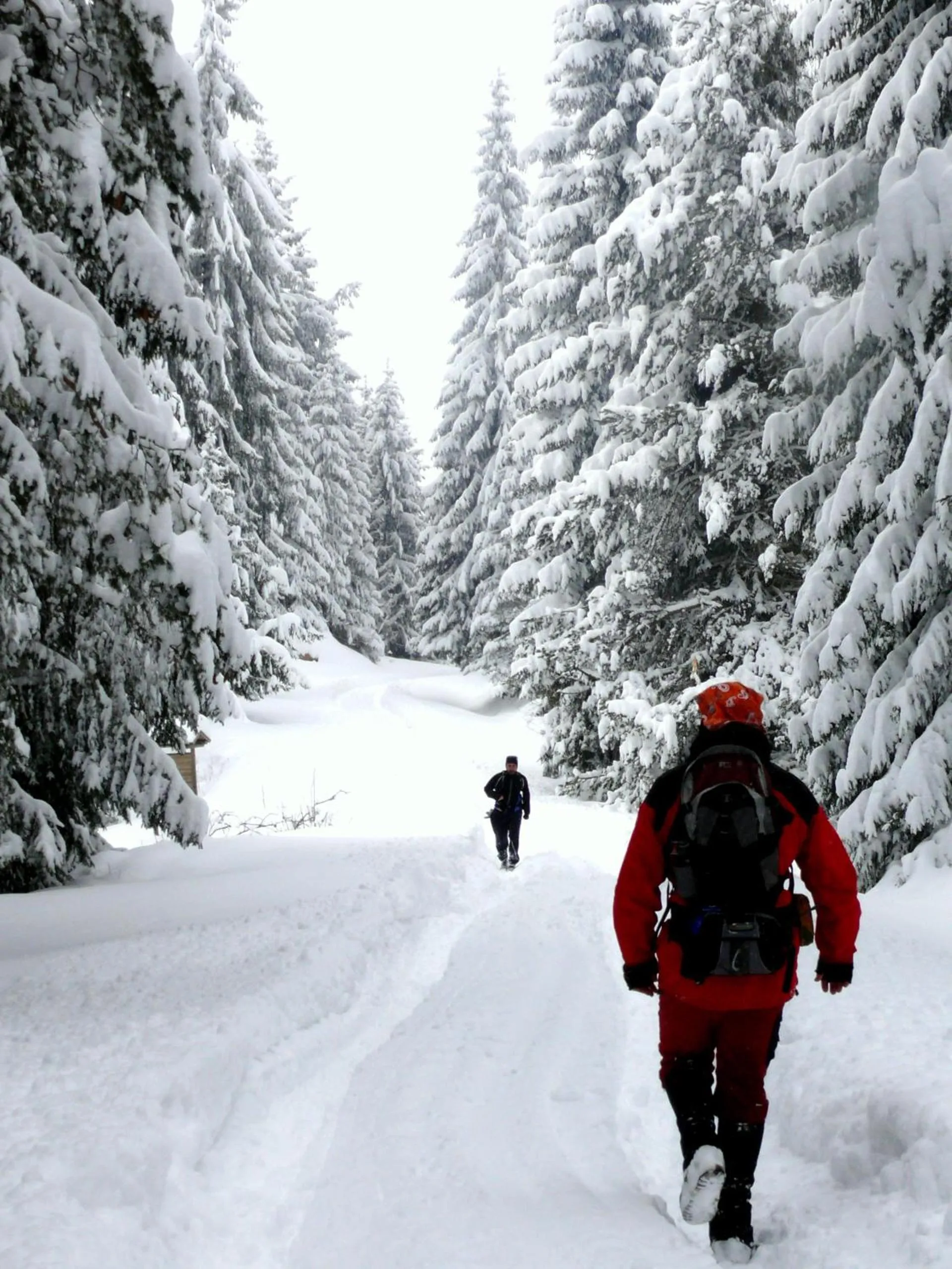 Hiking in Petrini Gonia
