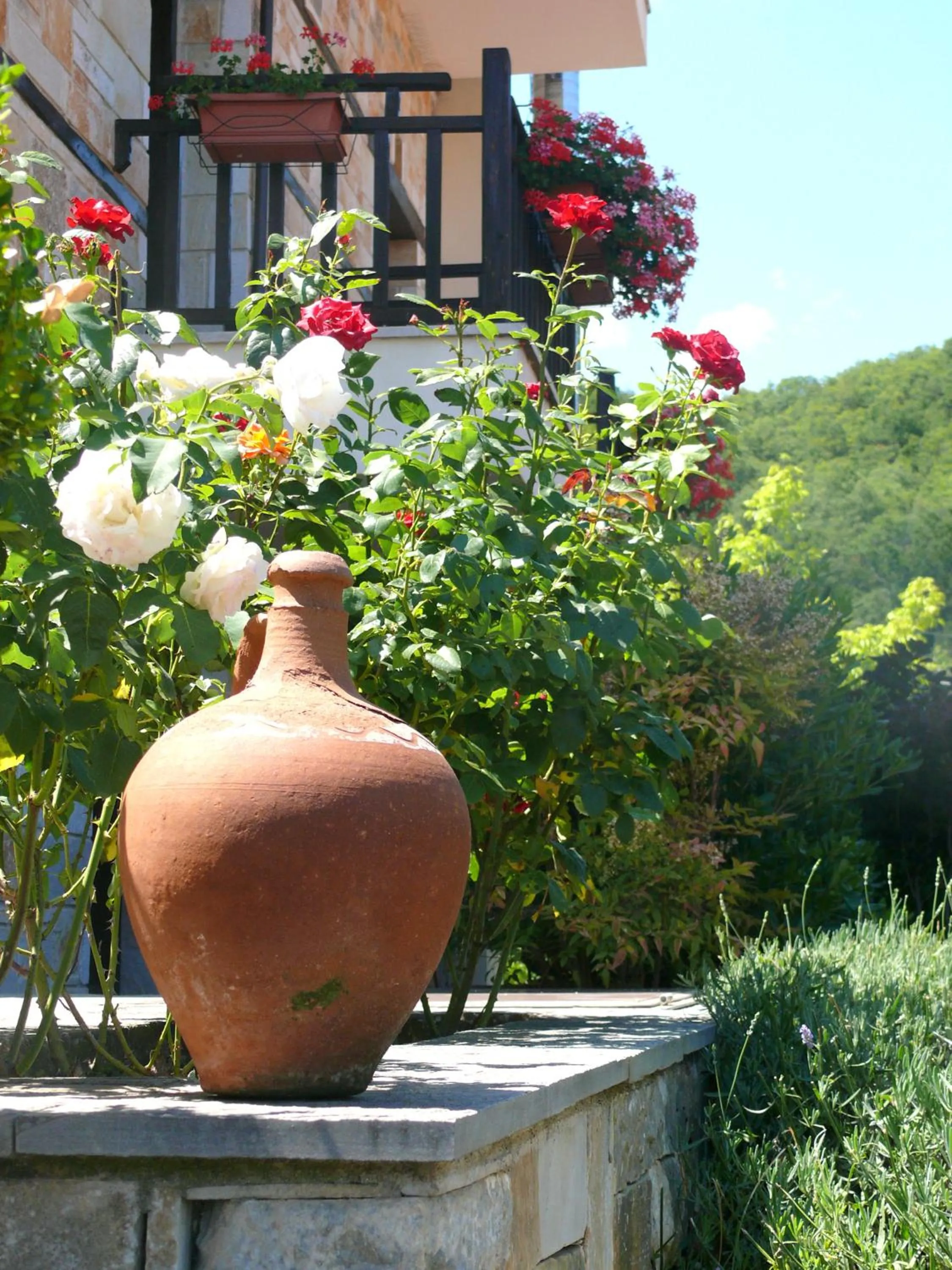 Garden in Petrini Gonia