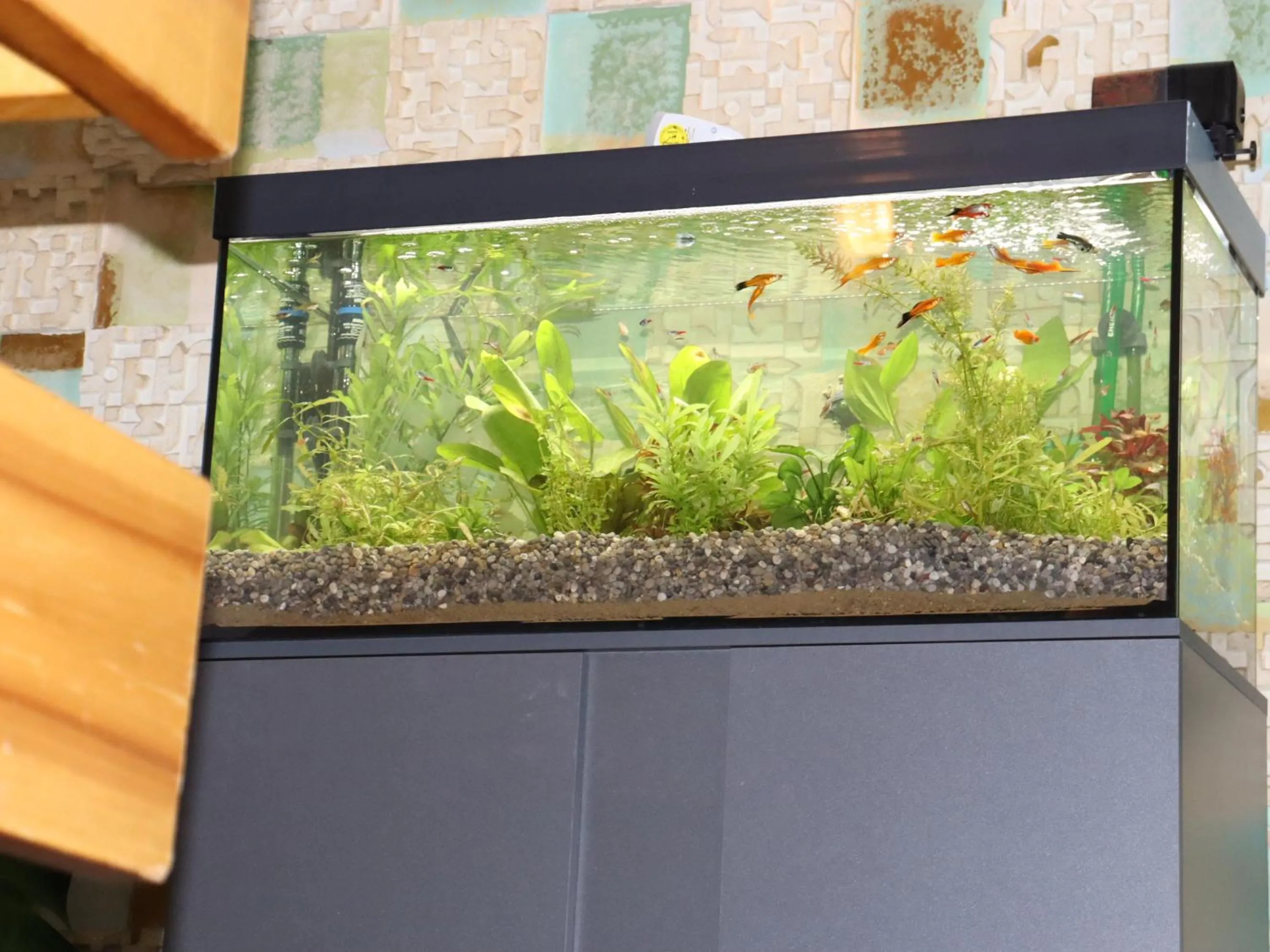 Restaurant/places to eat in Schwarzes Ross Hotel & Restaurant Oberwiesenthal