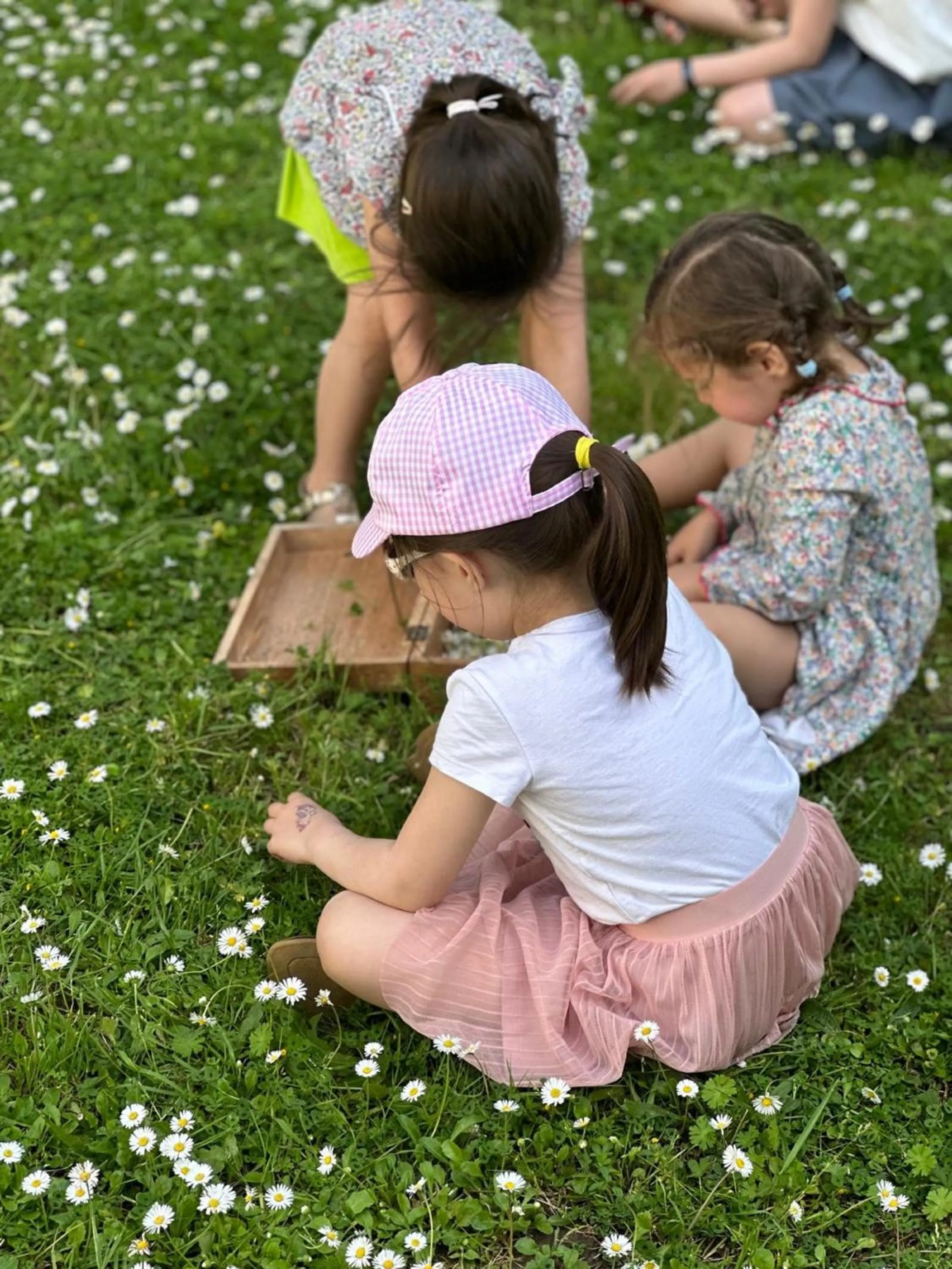 Spring in Novotel Orléans Chemins De Sologne Demeures De Campagne