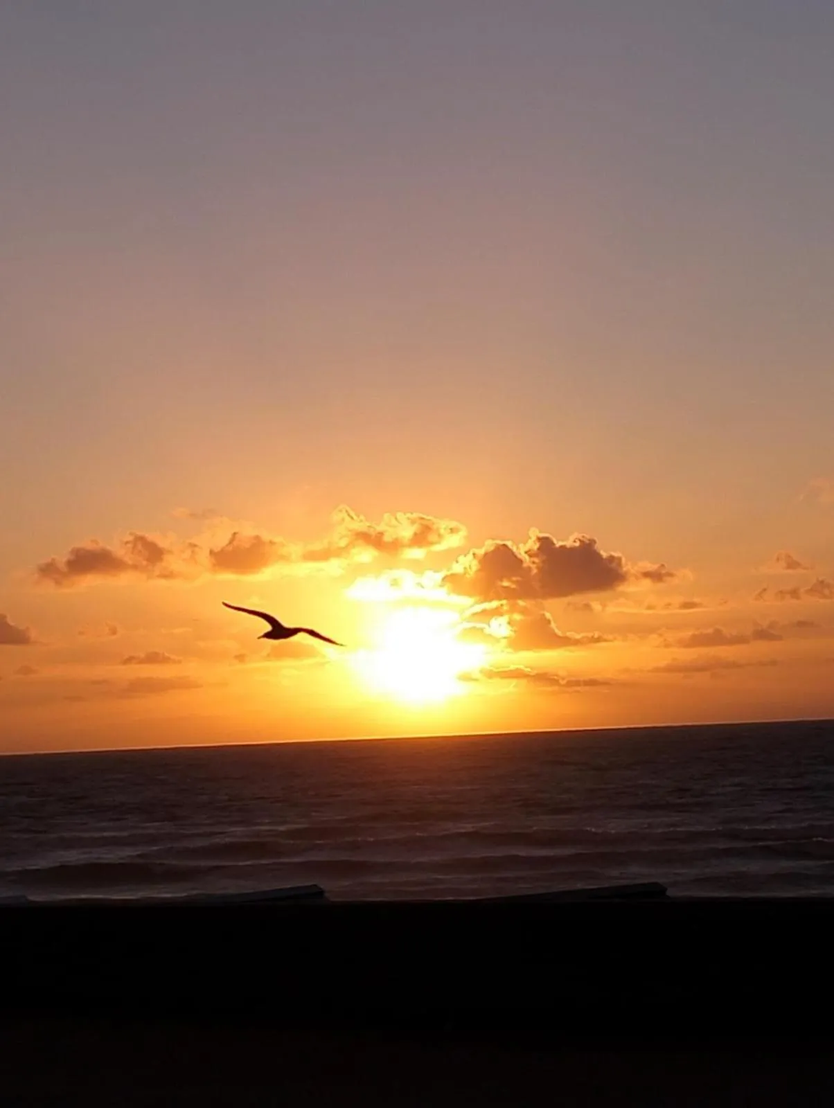 Natural landscape in EGG HOTEL - HOTEL LES GENS DE MER Dieppe