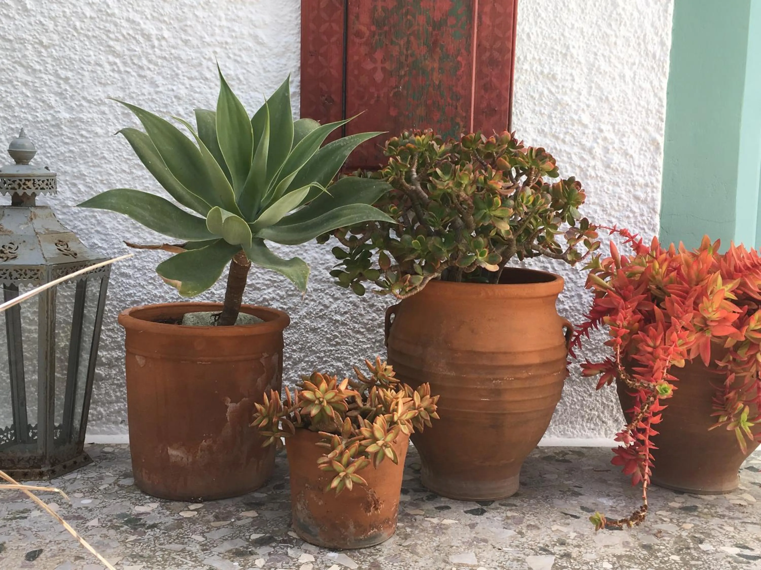 Property building in Asterias