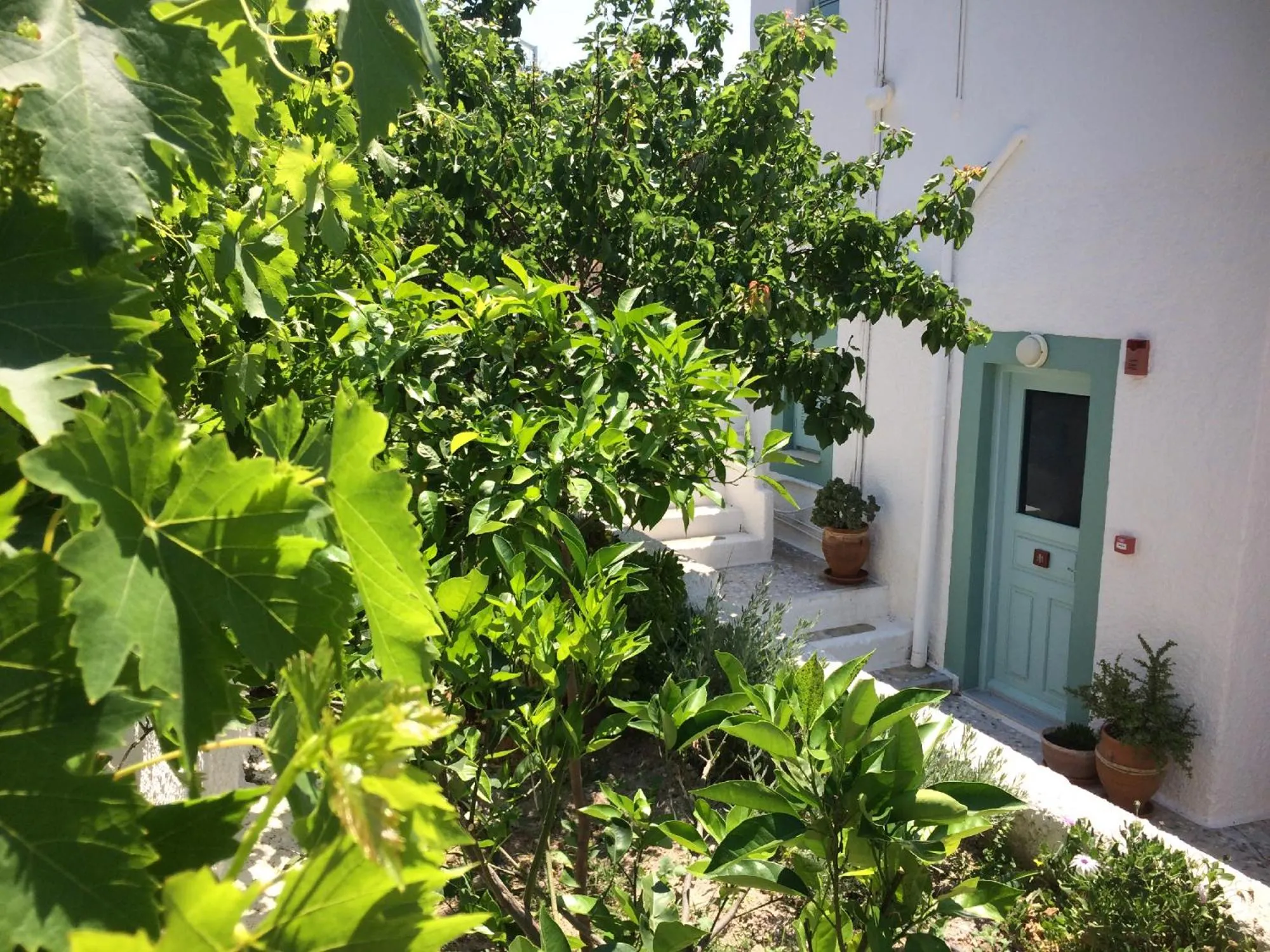 Facade/entrance in Asterias