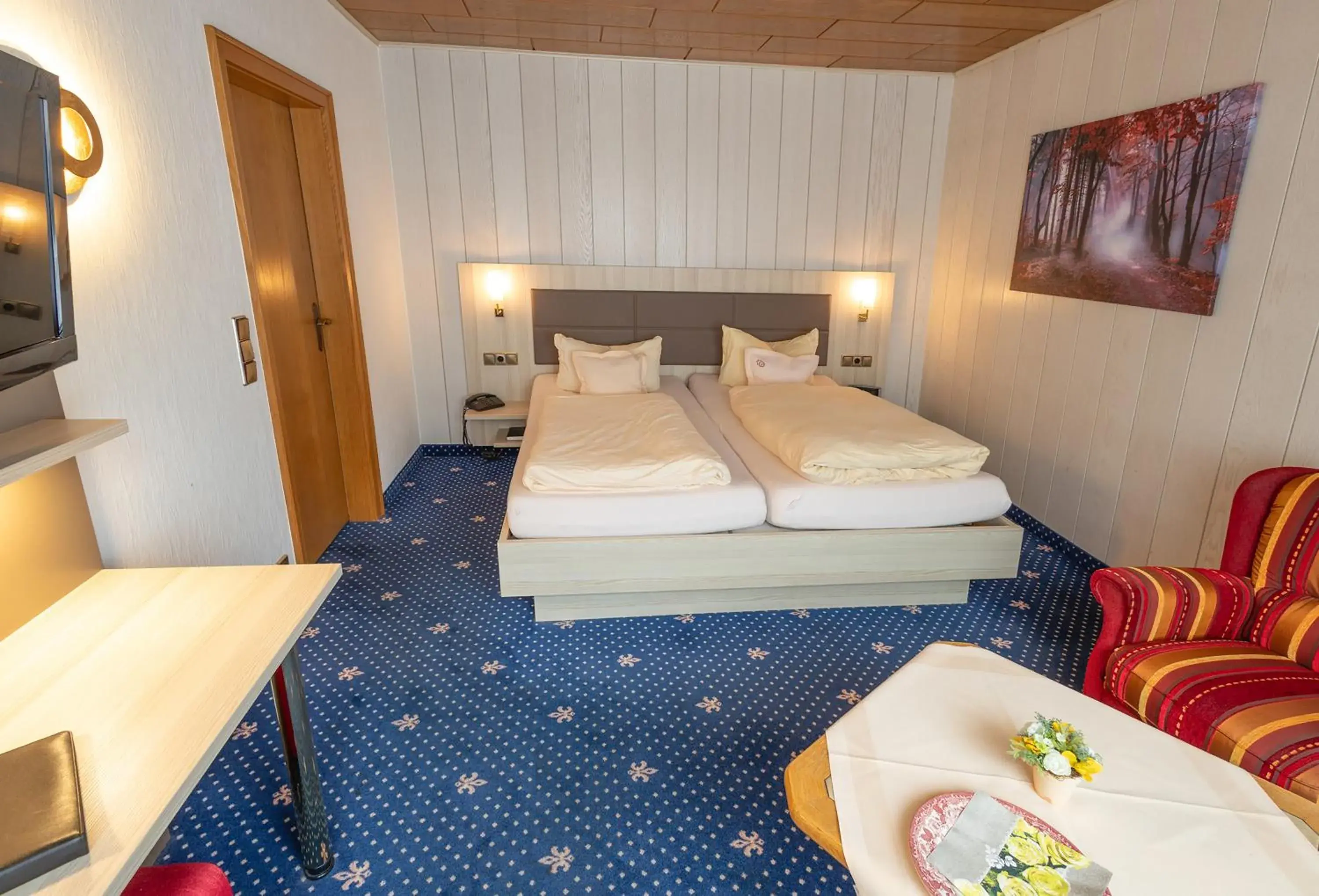 Double or Twin Room - single occupancy in Sporthotel Göbel Garni Double or Twin Room - single occupancy in Sporthotel Göbel Garni